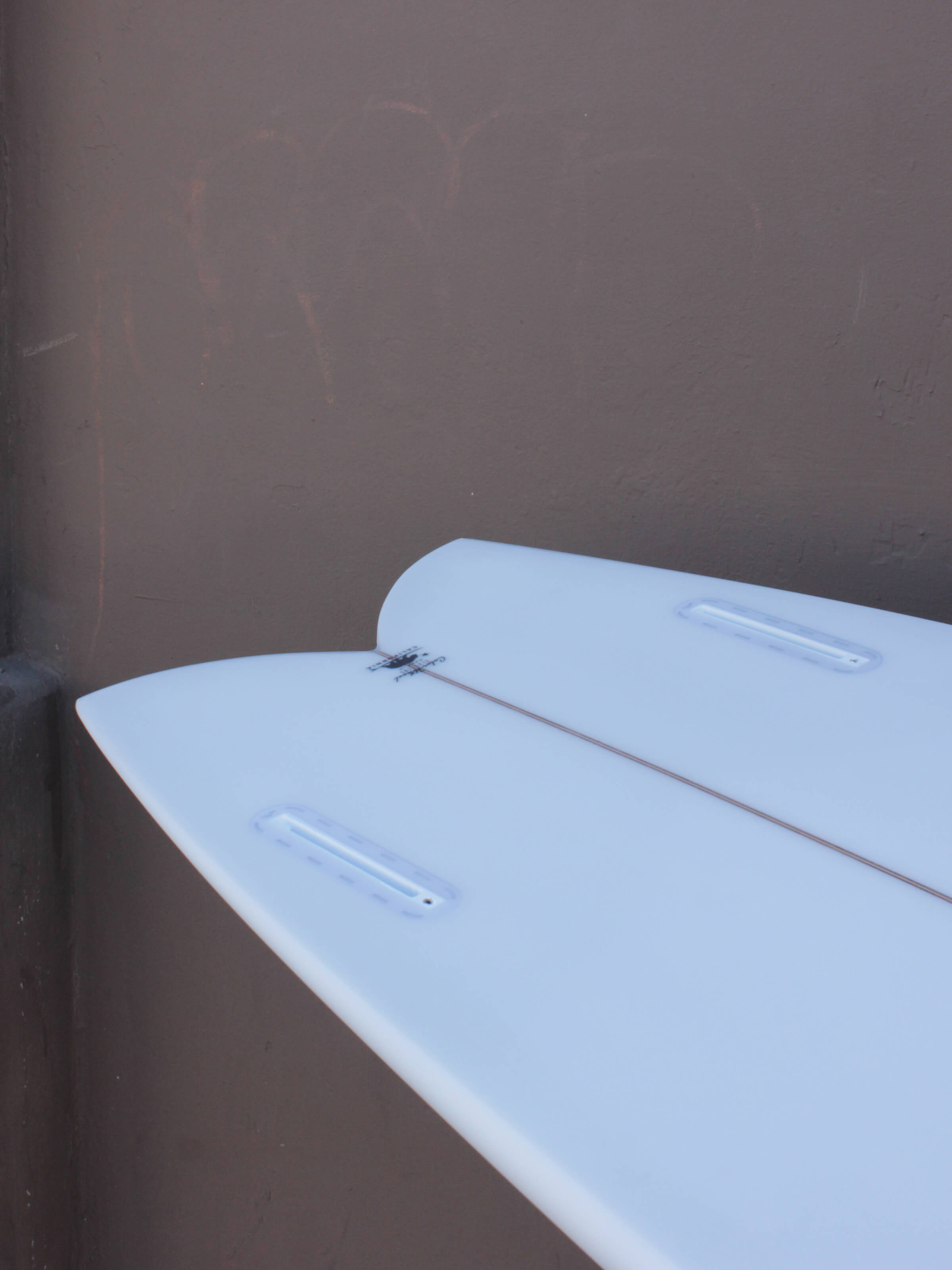 5'6 Wegener Fish - Mollusk Surf Shop