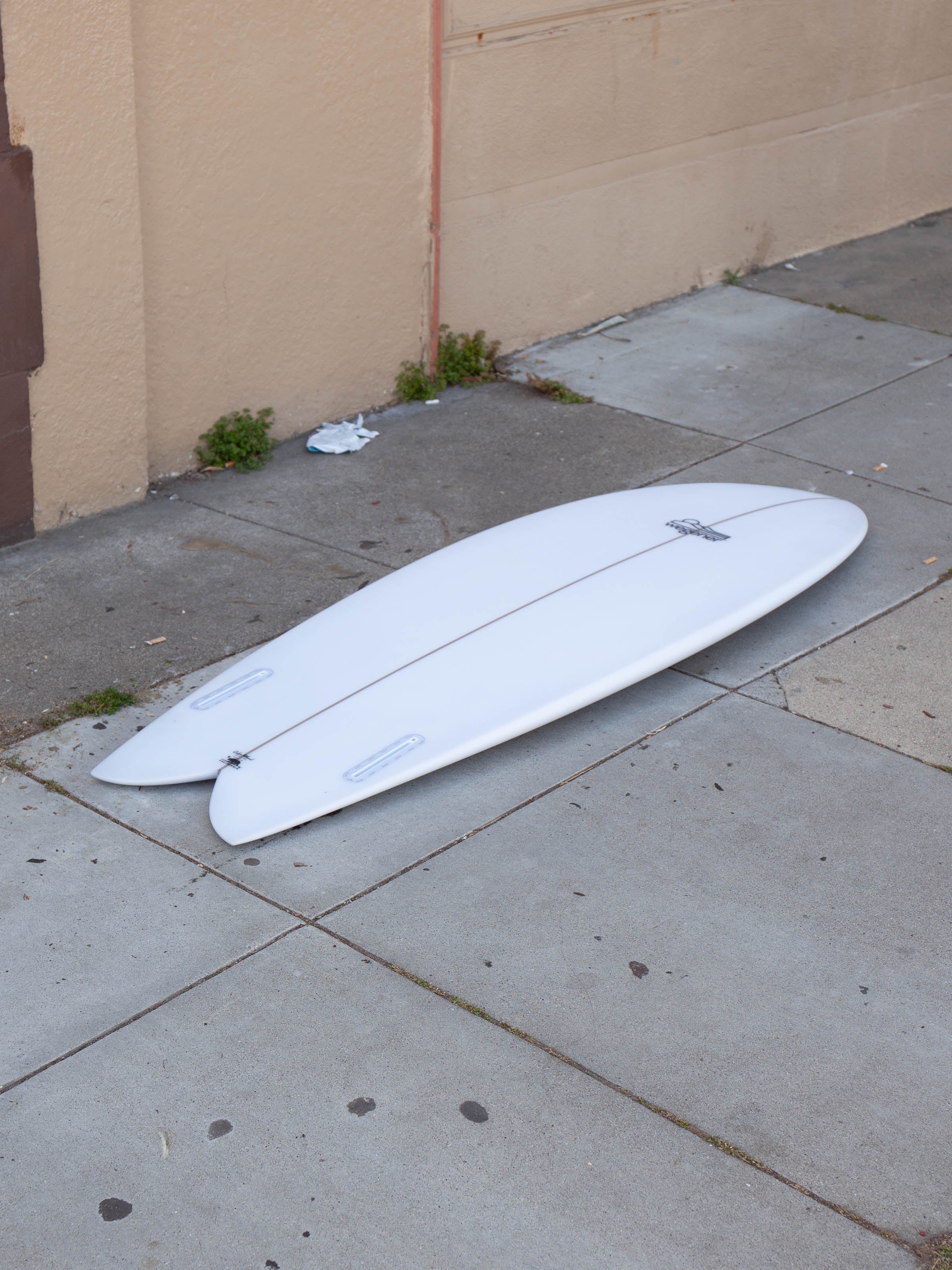 5'6 Wegener Fish - Mollusk Surf Shop