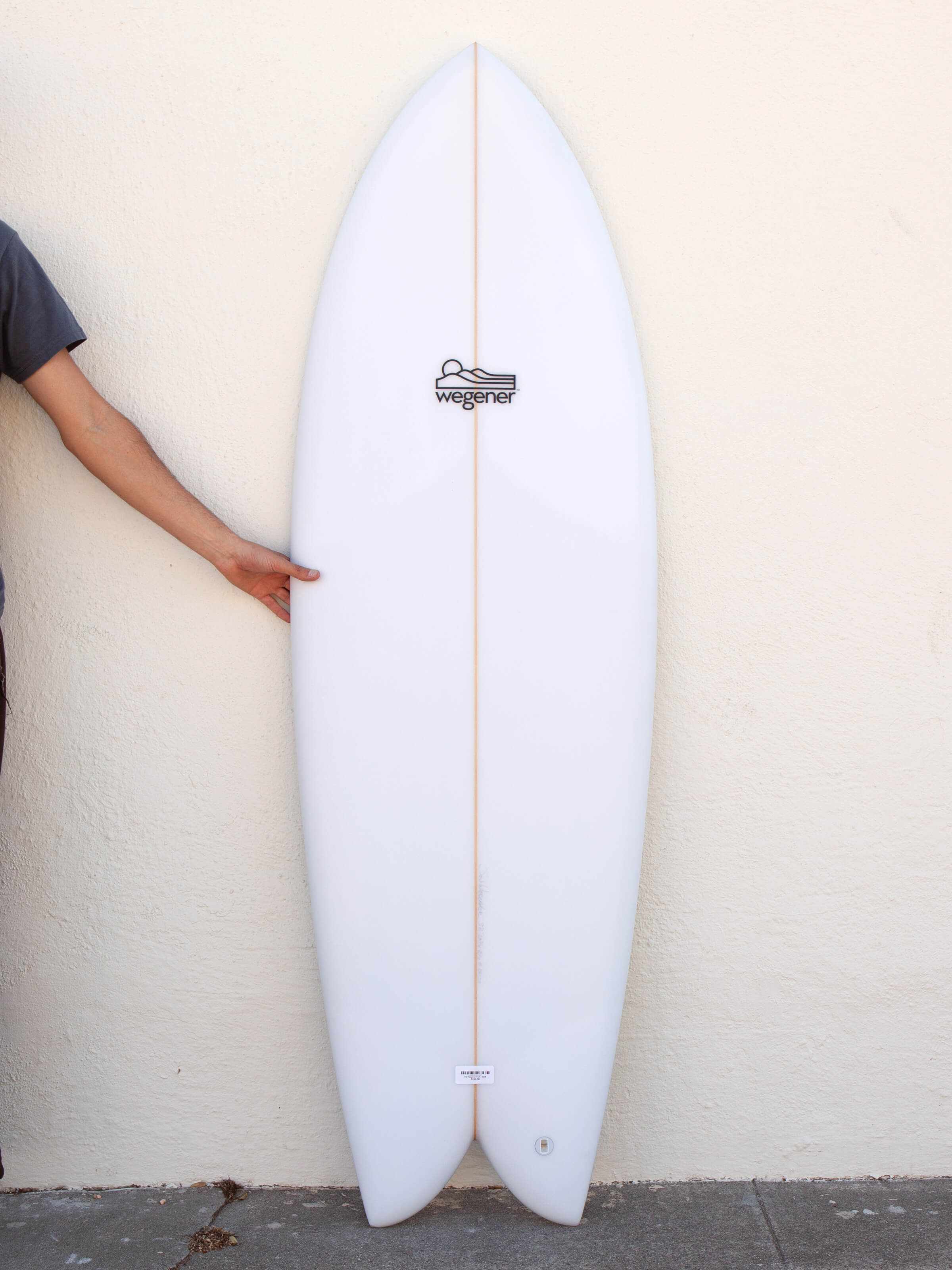 5'6 Wegener Fish - Mollusk Surf Shop