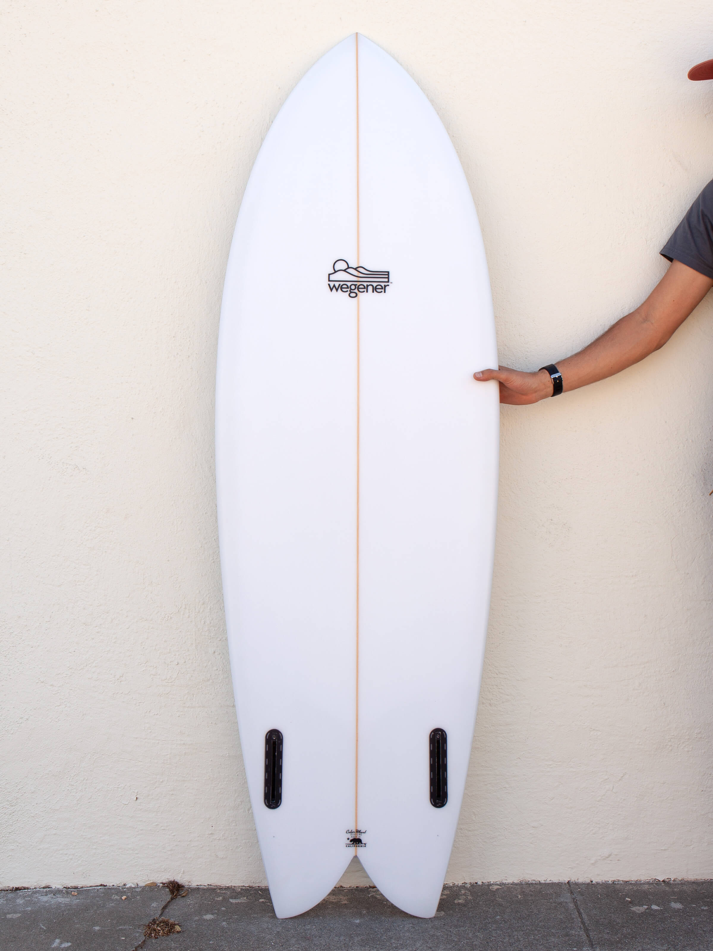 5'6 Wegener Fish - Mollusk Surf Shop