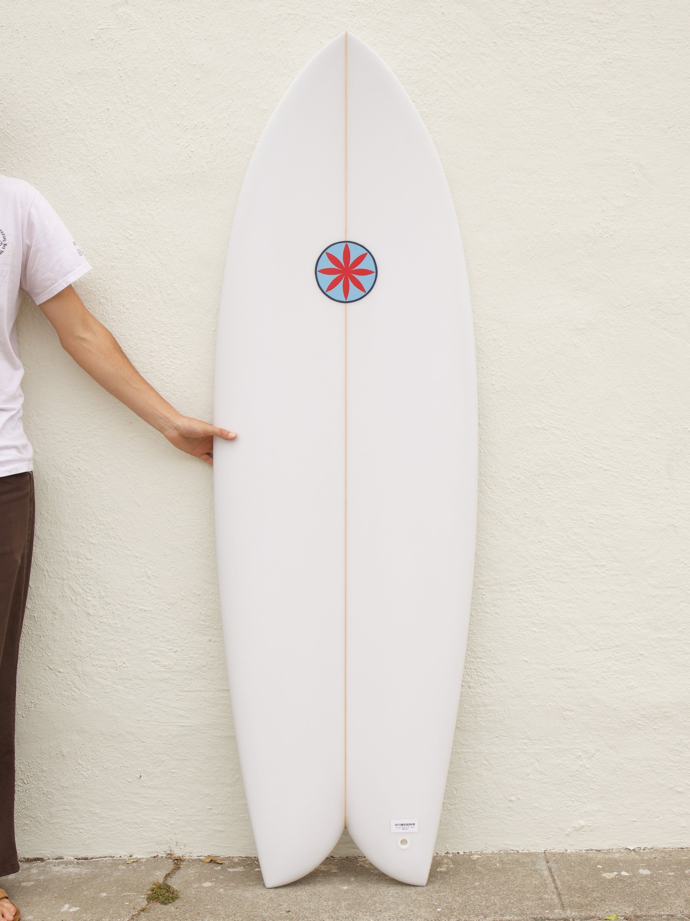 5'8 Hanel C Fish - Mollusk Surf Shop