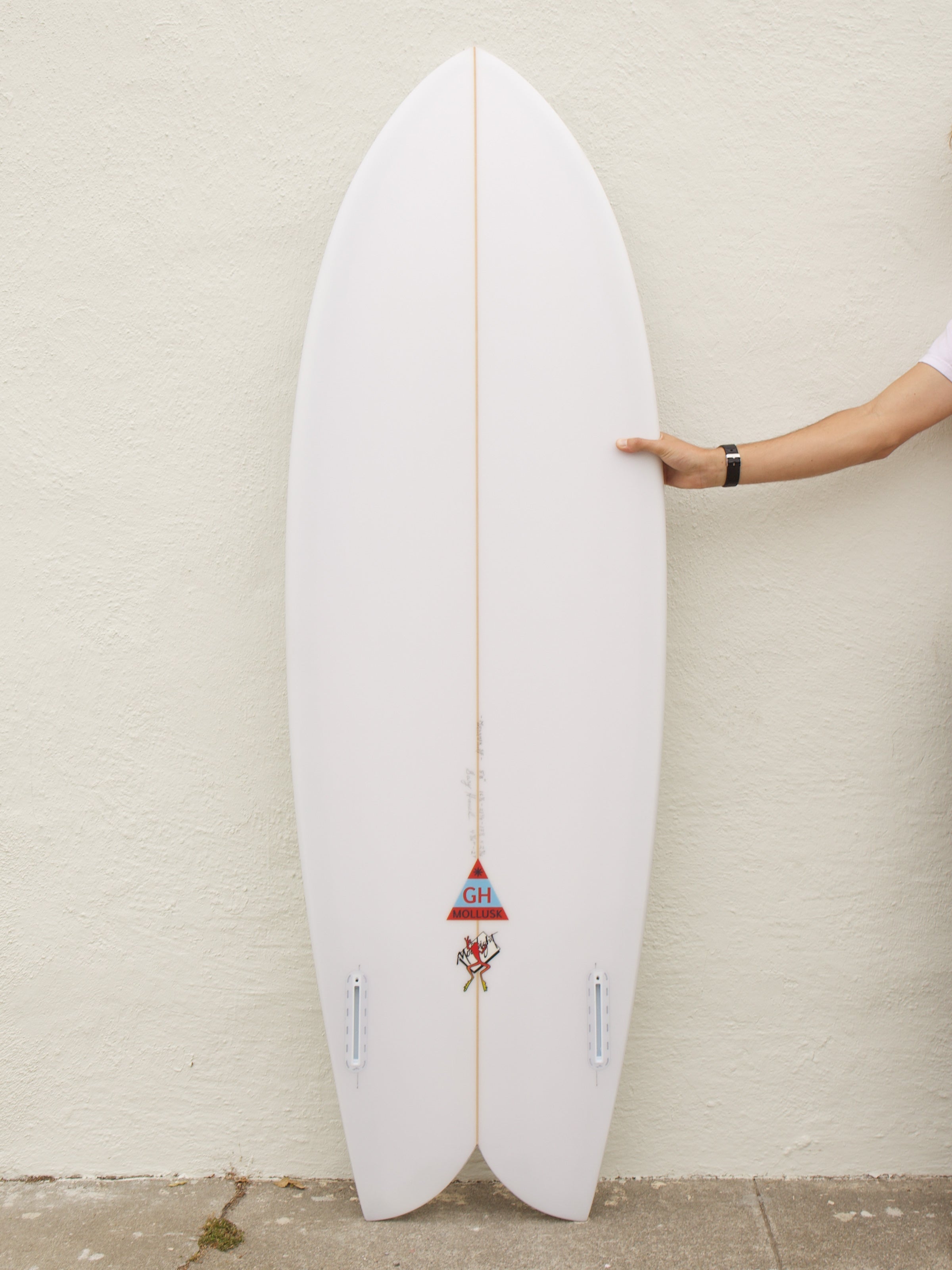5'8 Hanel C Fish - Mollusk Surf Shop