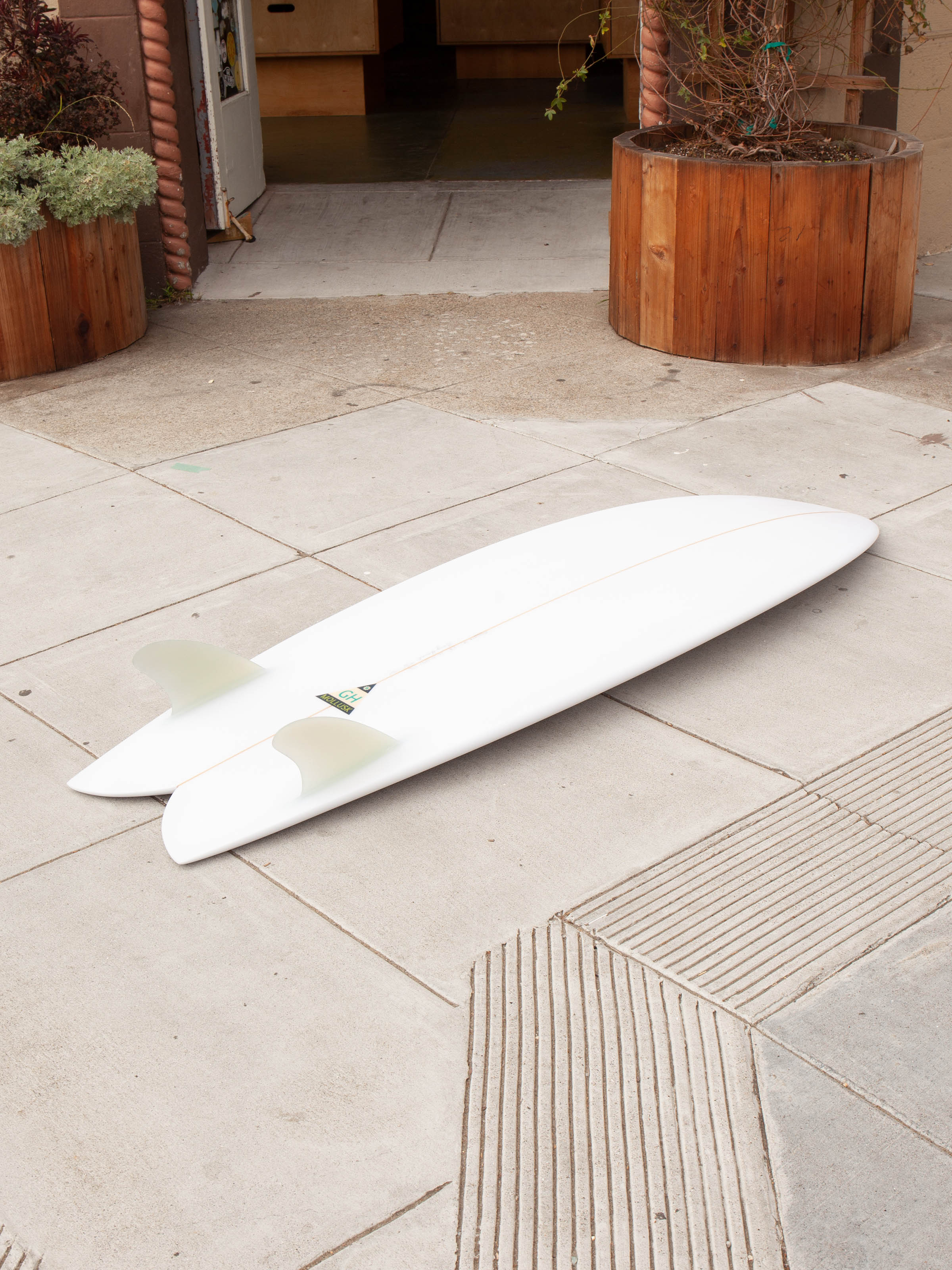 5'8 Hanel C Fish - Mollusk Surf Shop