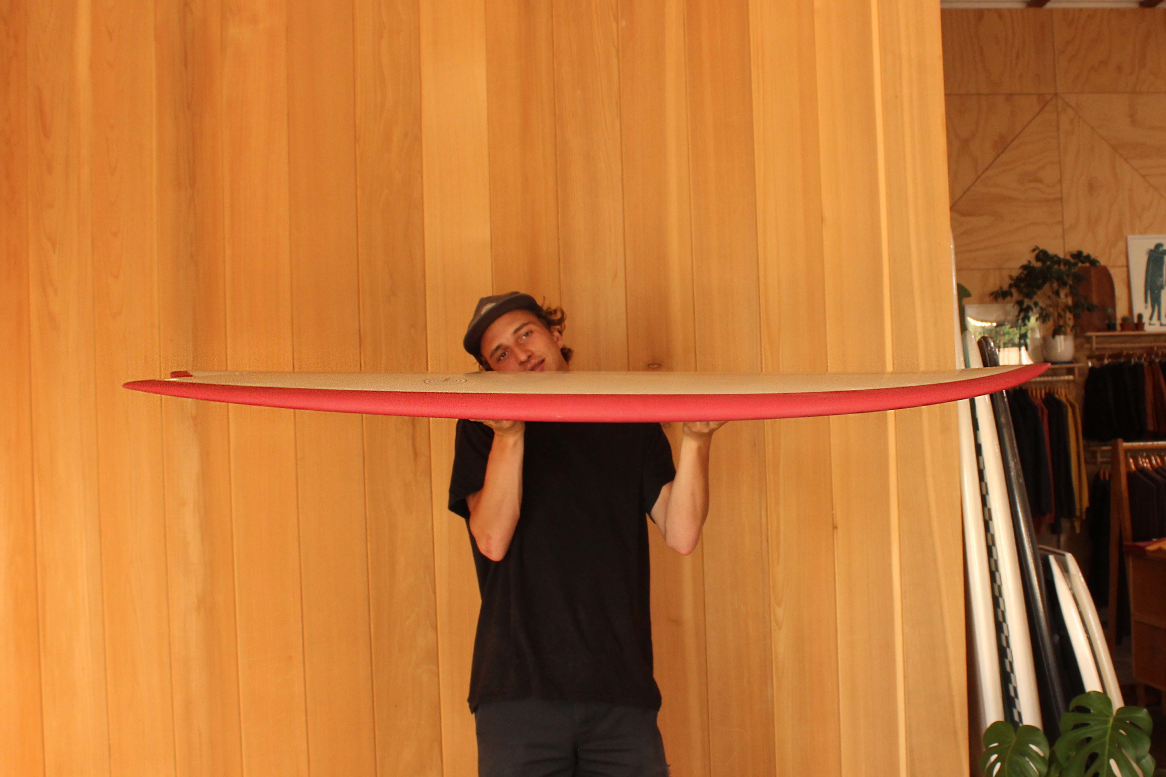 5'8 Radio Classic Fish - Rose - Mollusk Surf Shop