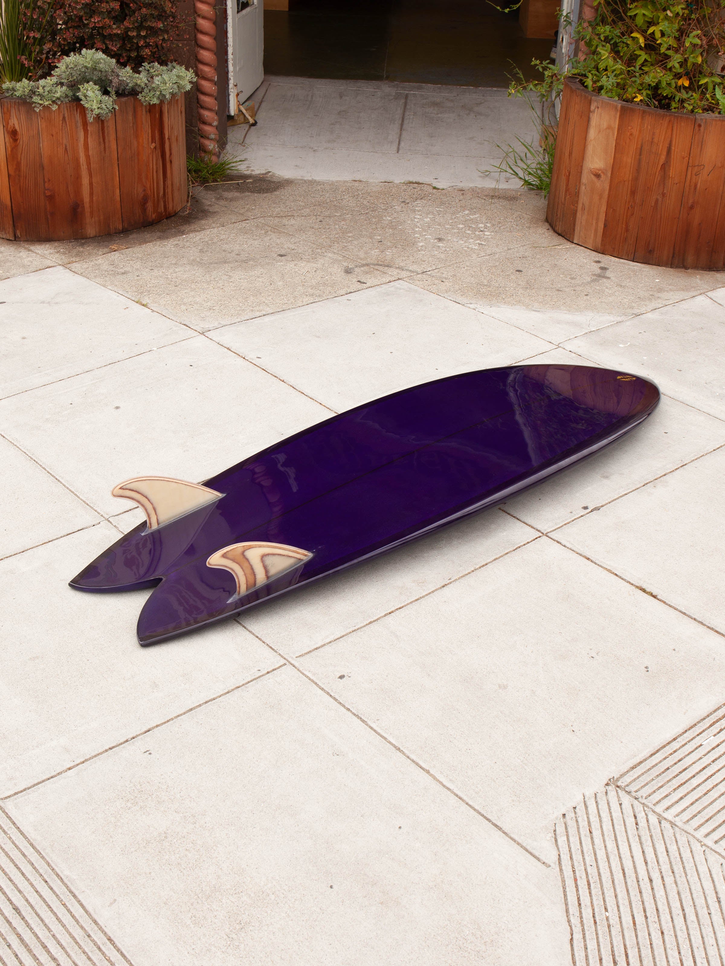 5'8 Tyler Warren Dream Fish - Mollusk Surf Shop