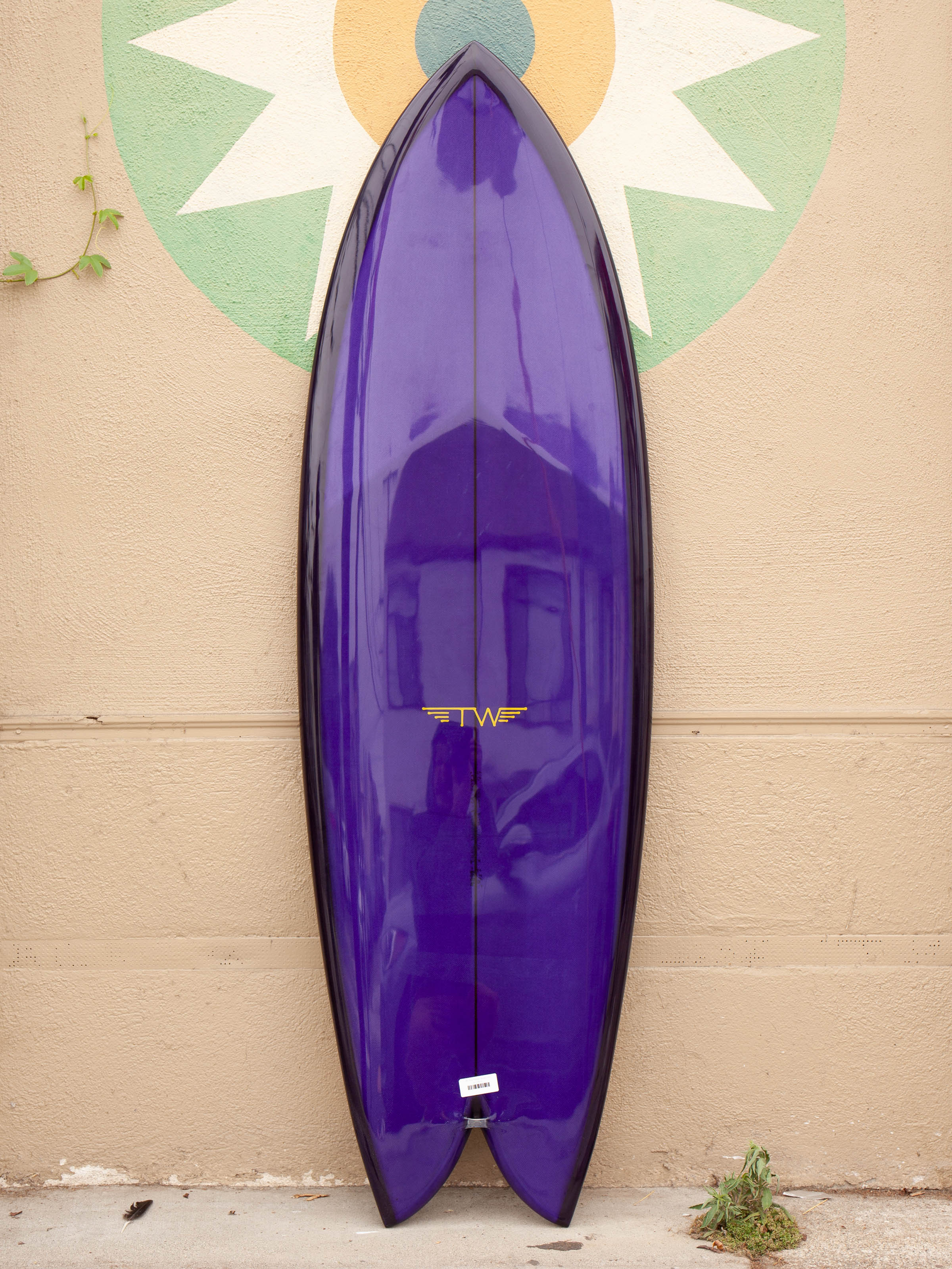 5'8 Tyler Warren Dream Fish - Mollusk Surf Shop