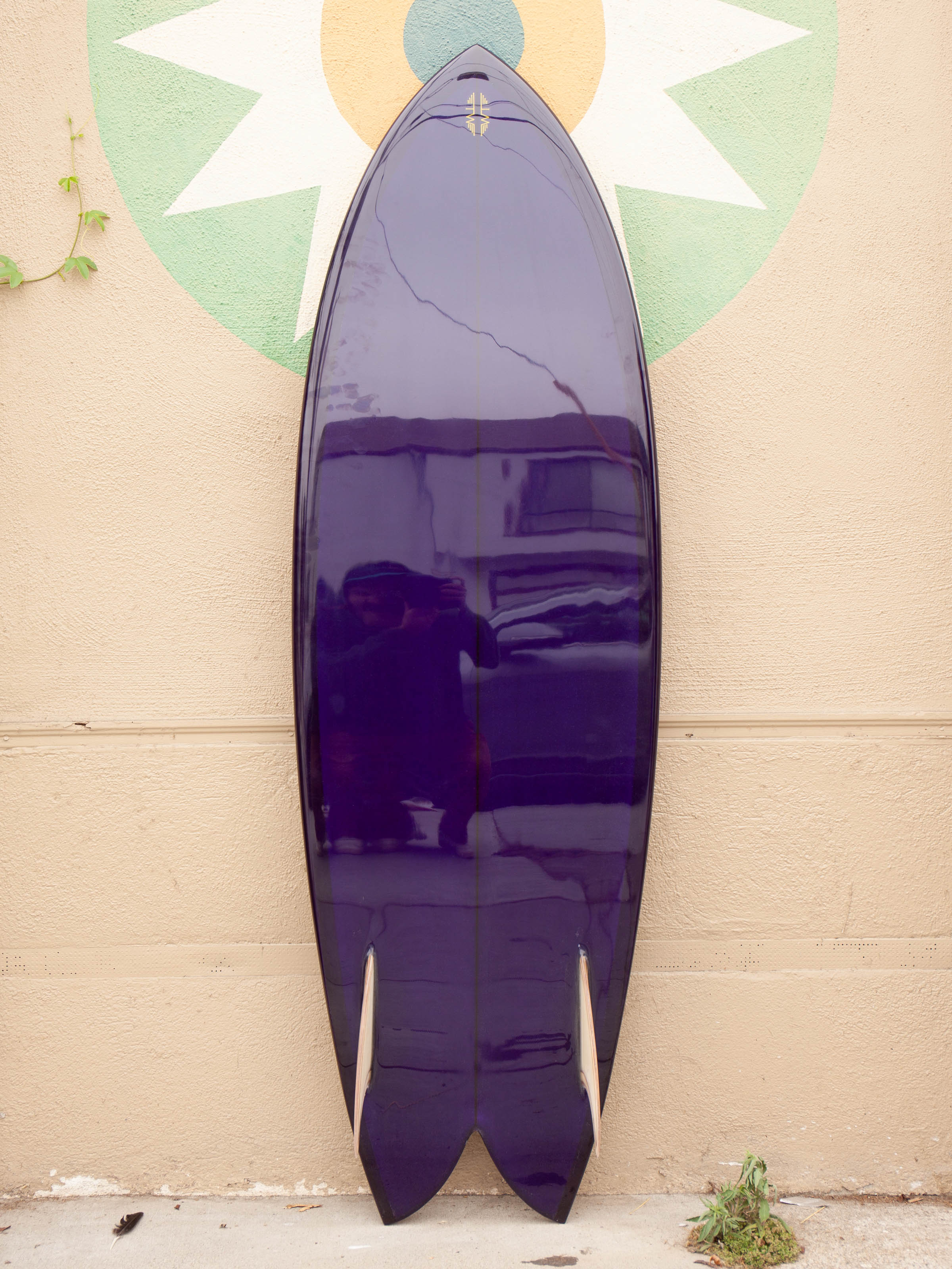 5'8 Tyler Warren Dream Fish - Mollusk Surf Shop