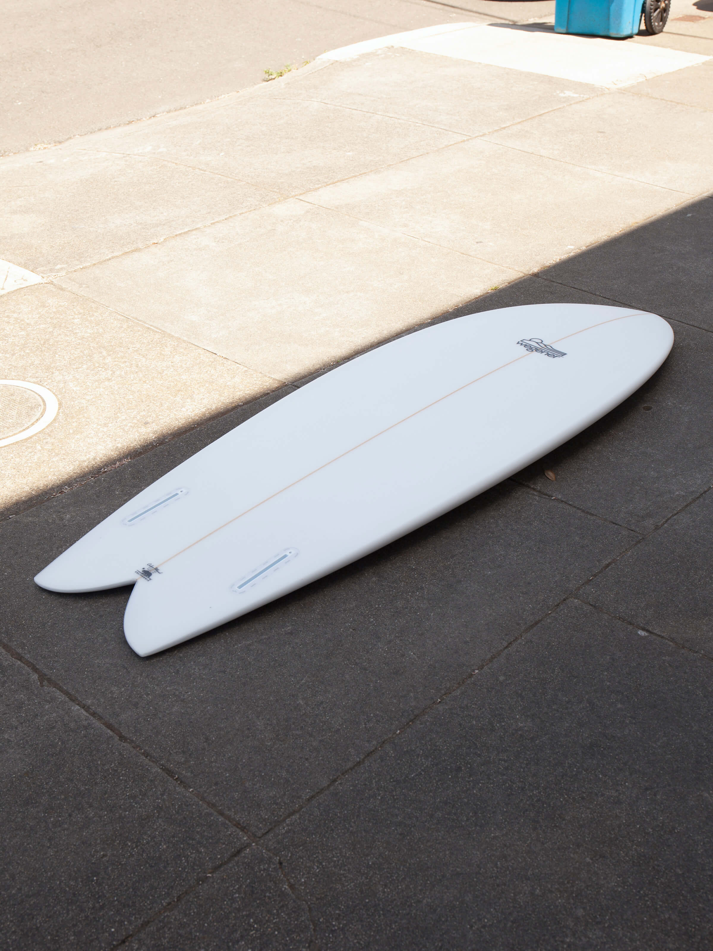 5'8 Wegener Fish - Mollusk Surf Shop