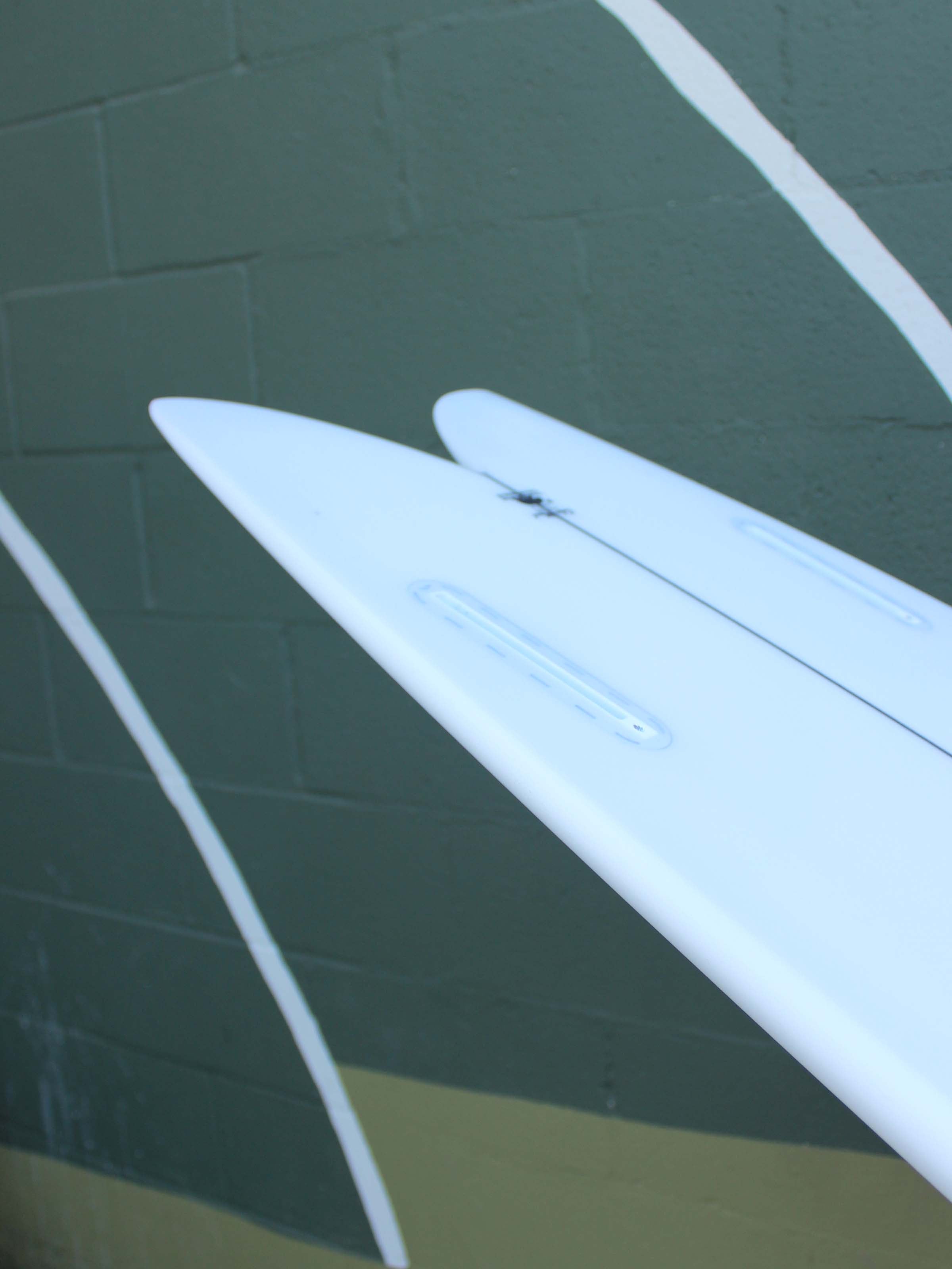 5'8 Wegener Fish - Mollusk Surf Shop - description