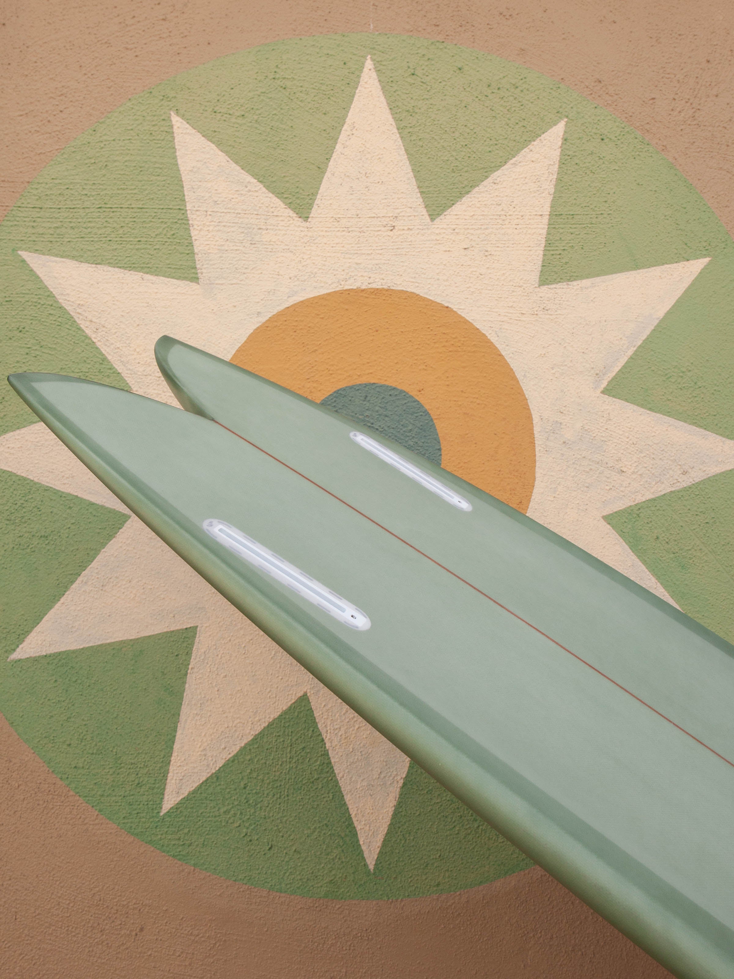 5'9 Arenal Fish - Mollusk Surf Shop - description