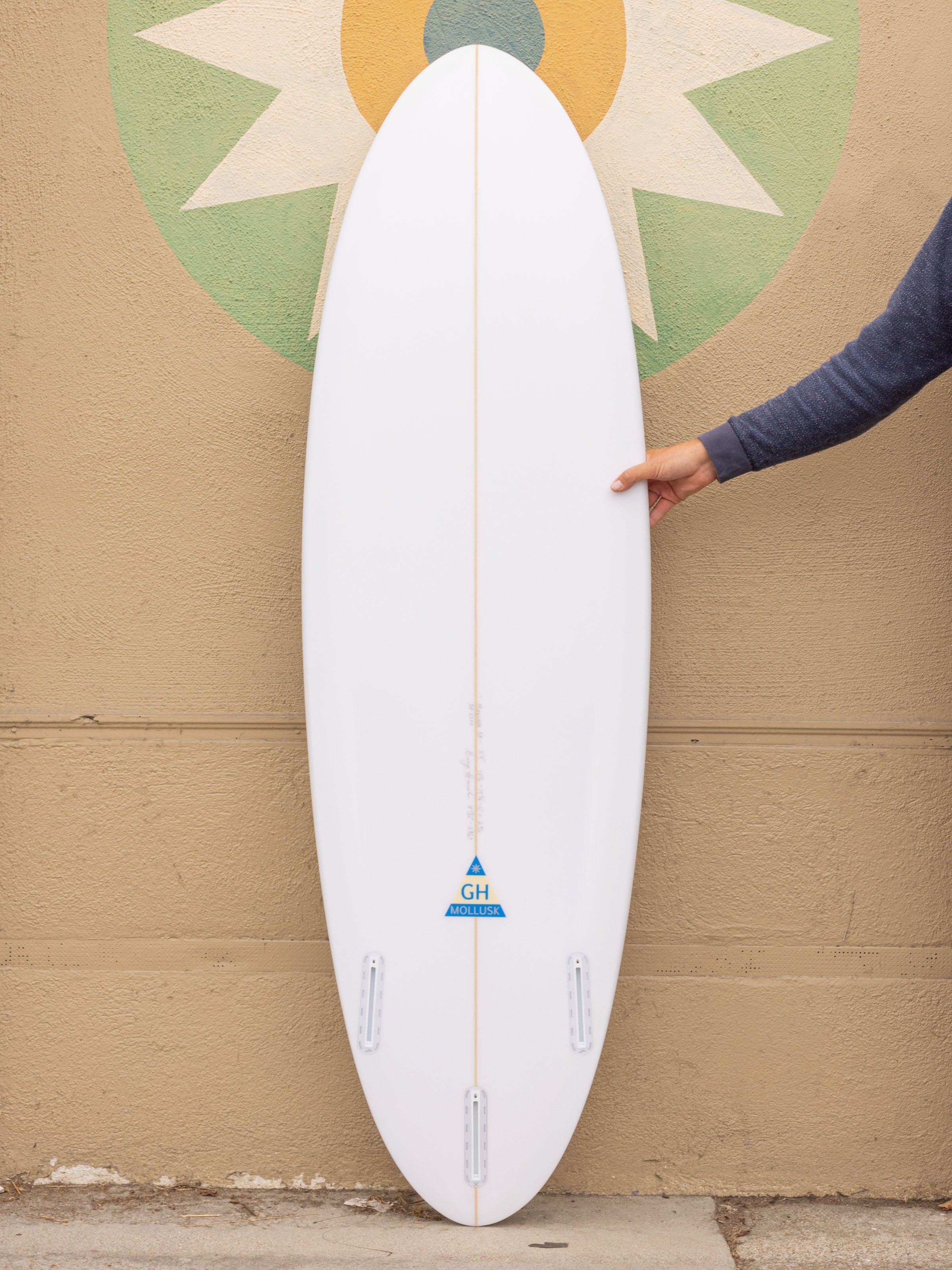 5'9 Hanel Astro Egg - Mollusk Surf Shop
