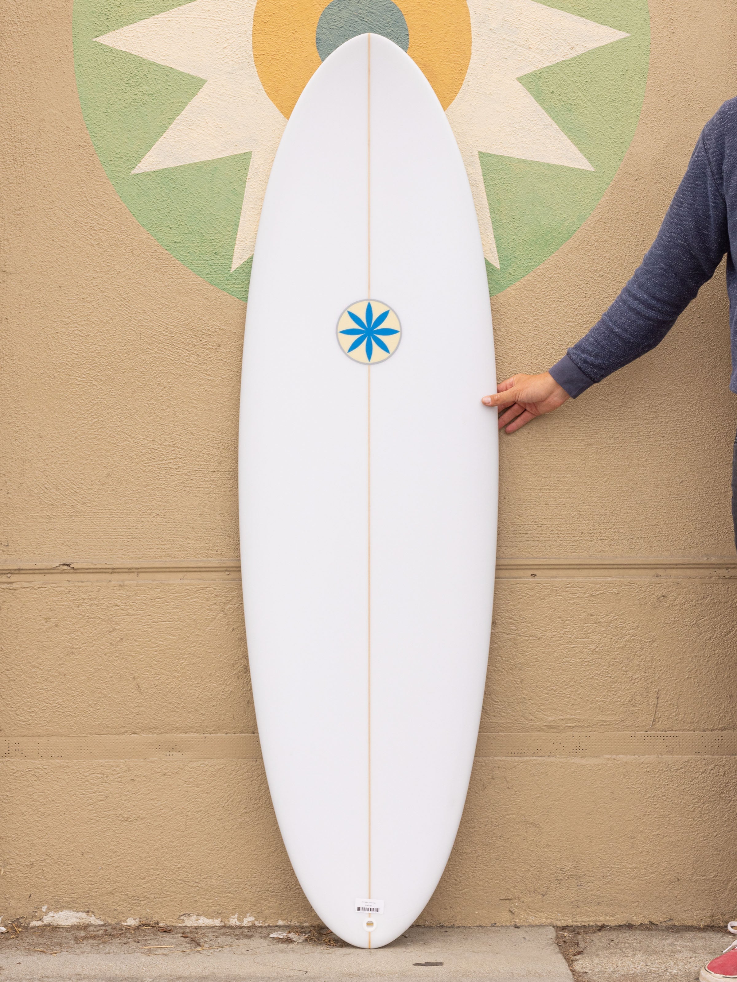 5'9 Hanel Astro Egg - Mollusk Surf Shop
