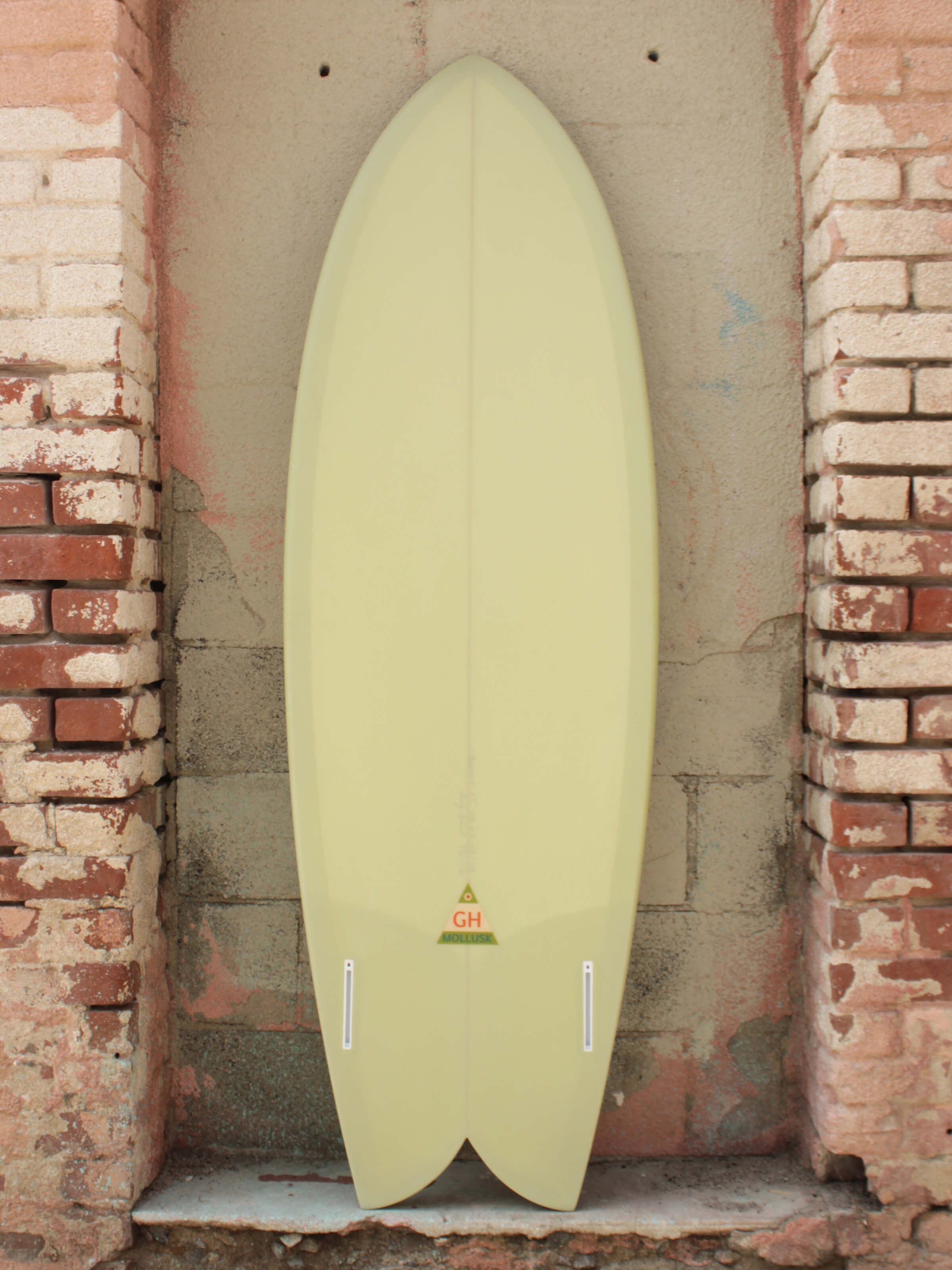 5'9 Hanel C Fish - Mollusk Surf Shop