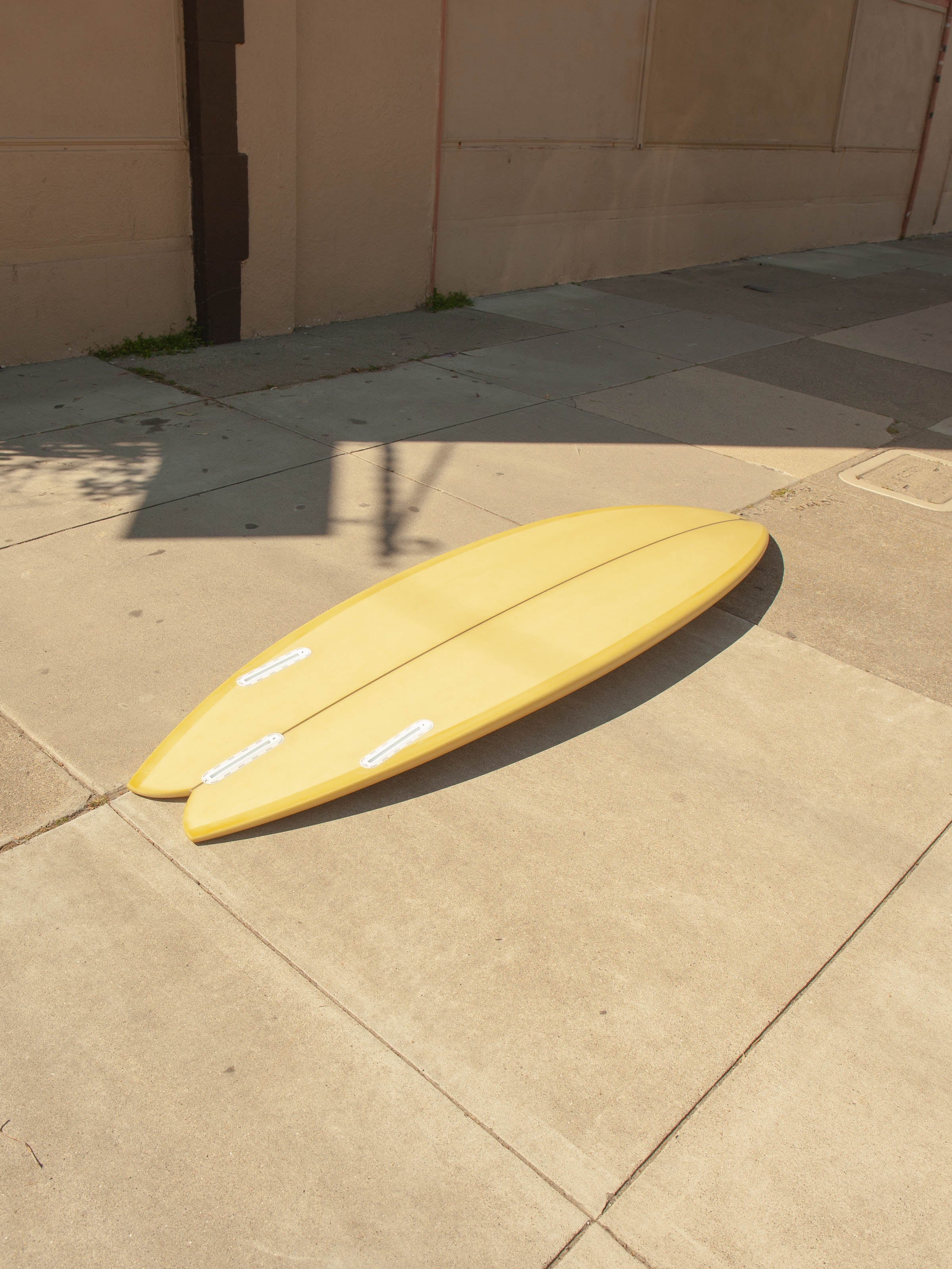 5'9 Tyler Warren Swallowed Shorty - Mollusk Surf Shop