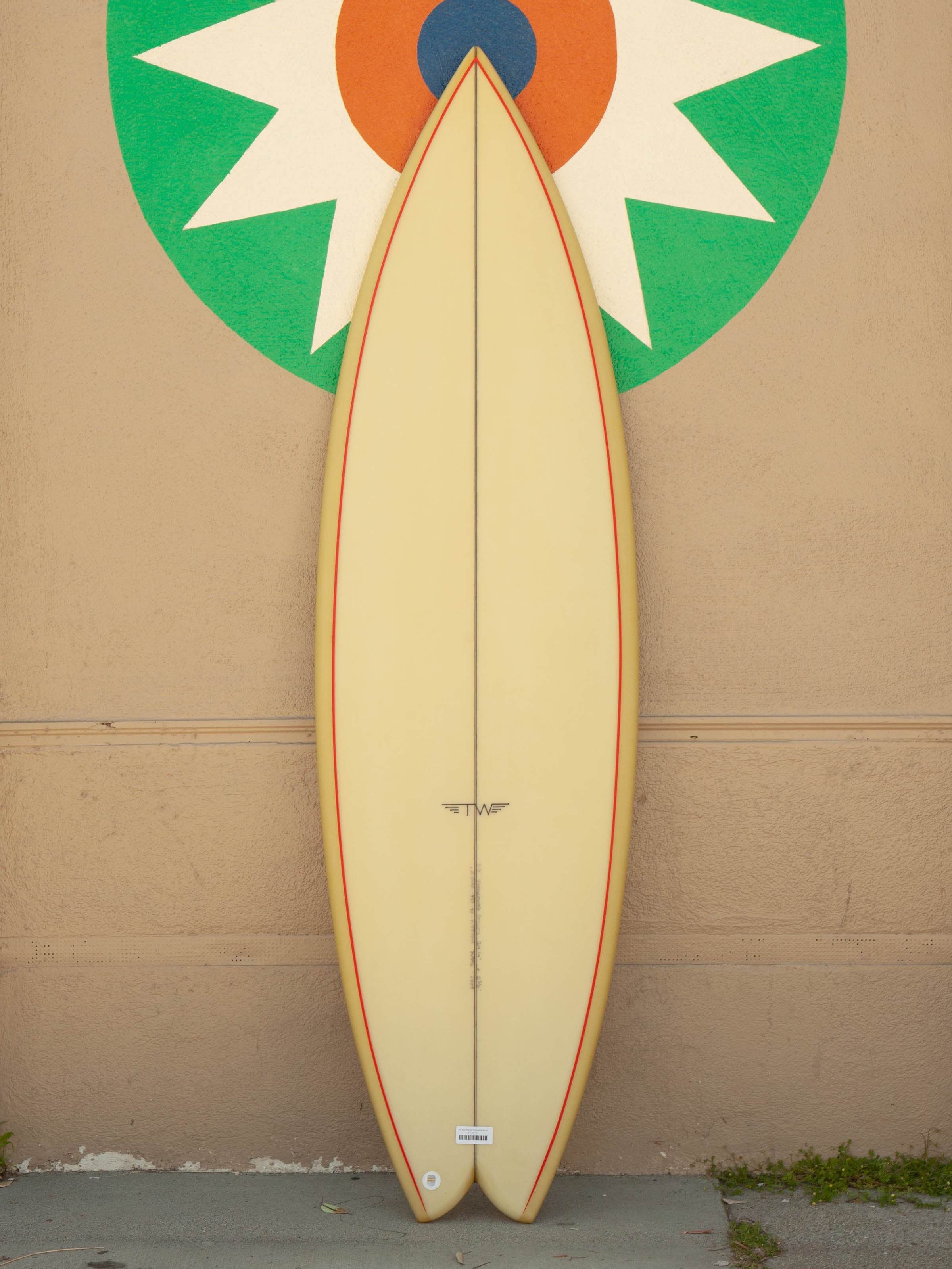 5'9 Tyler Warren Swallowed Shorty - Mollusk Surf Shop