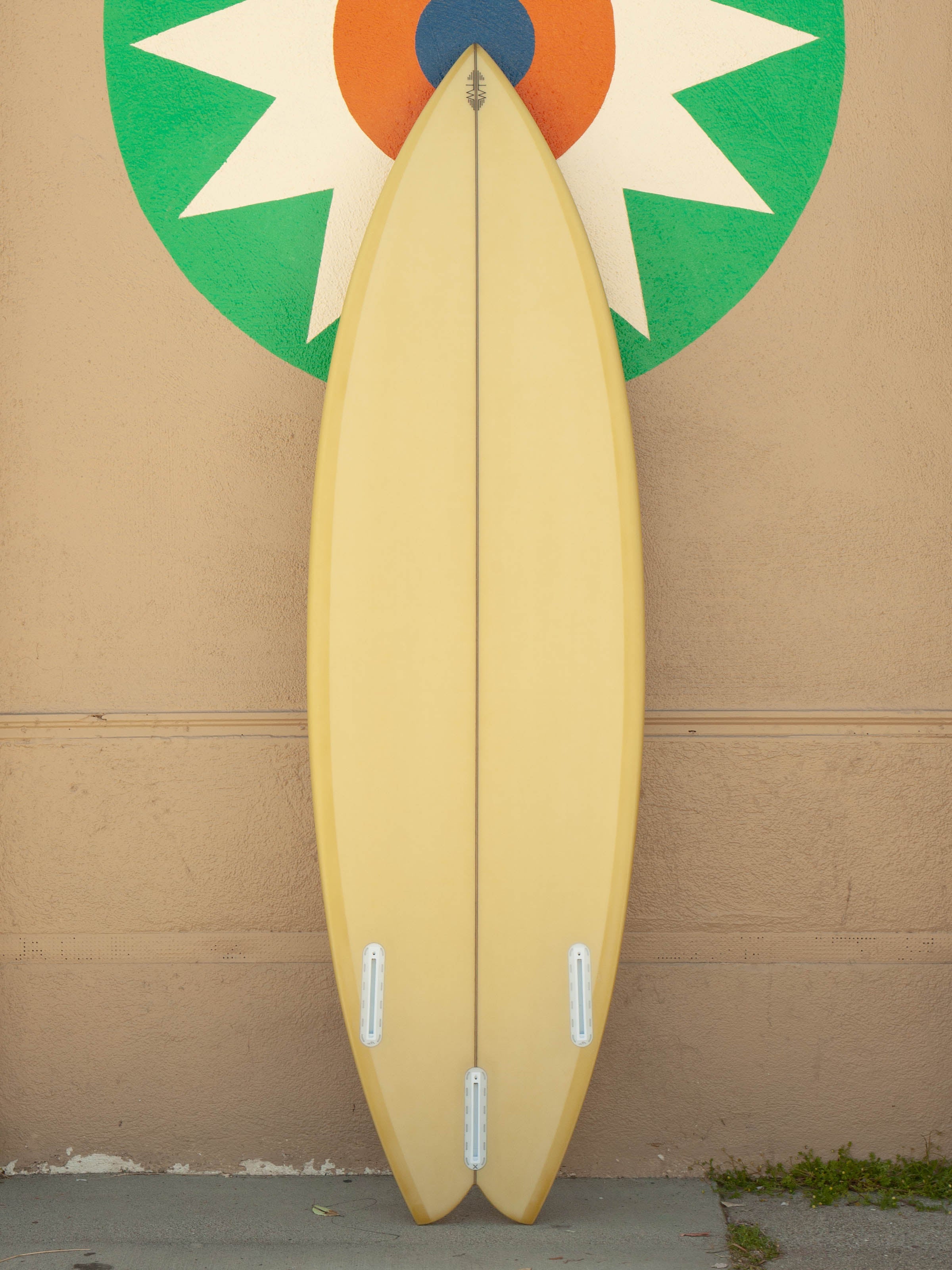 5'9 Tyler Warren Swallowed Shorty - Mollusk Surf Shop