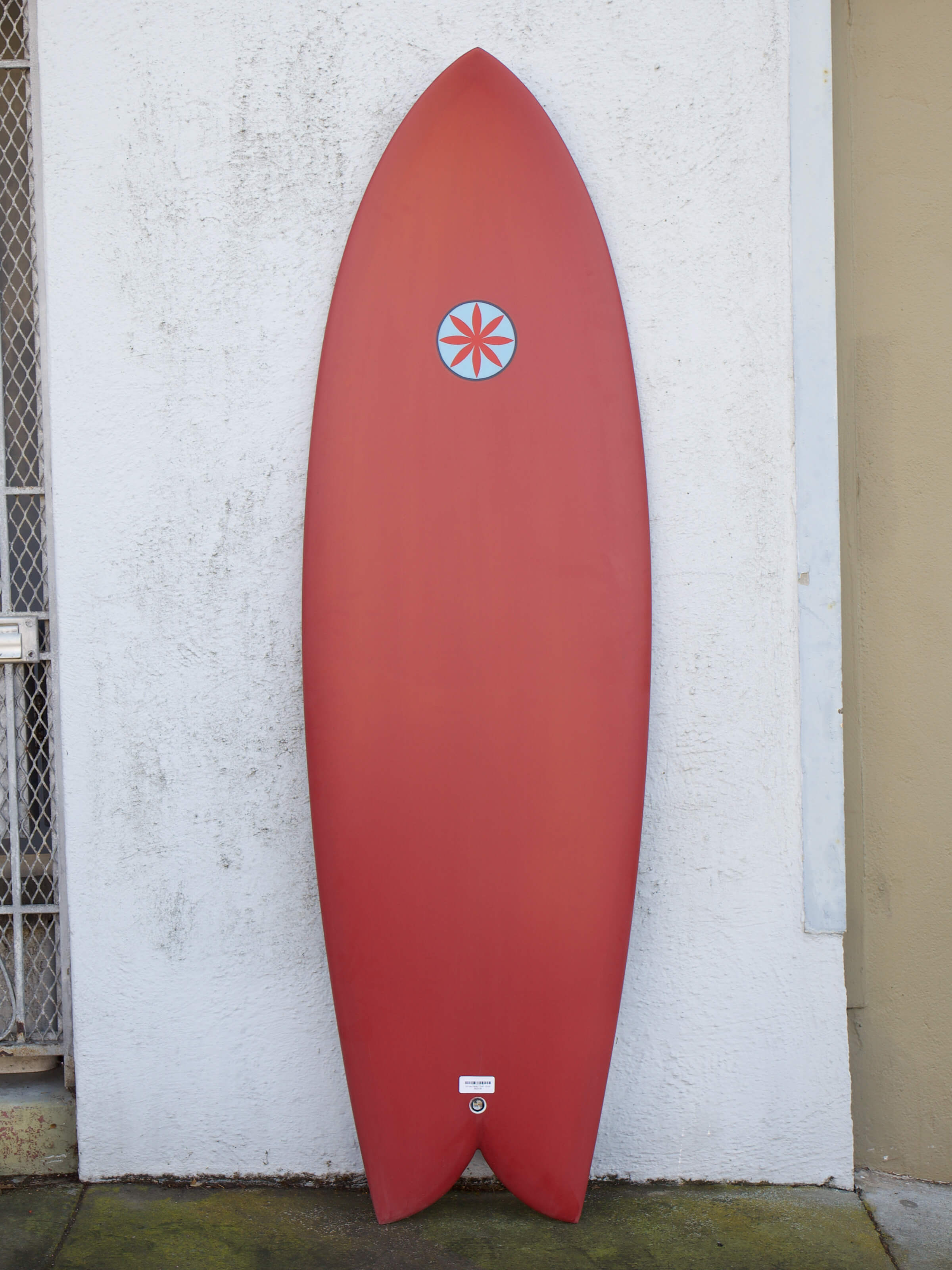 6'0 Hanel C Fish - Mollusk Surf Shop