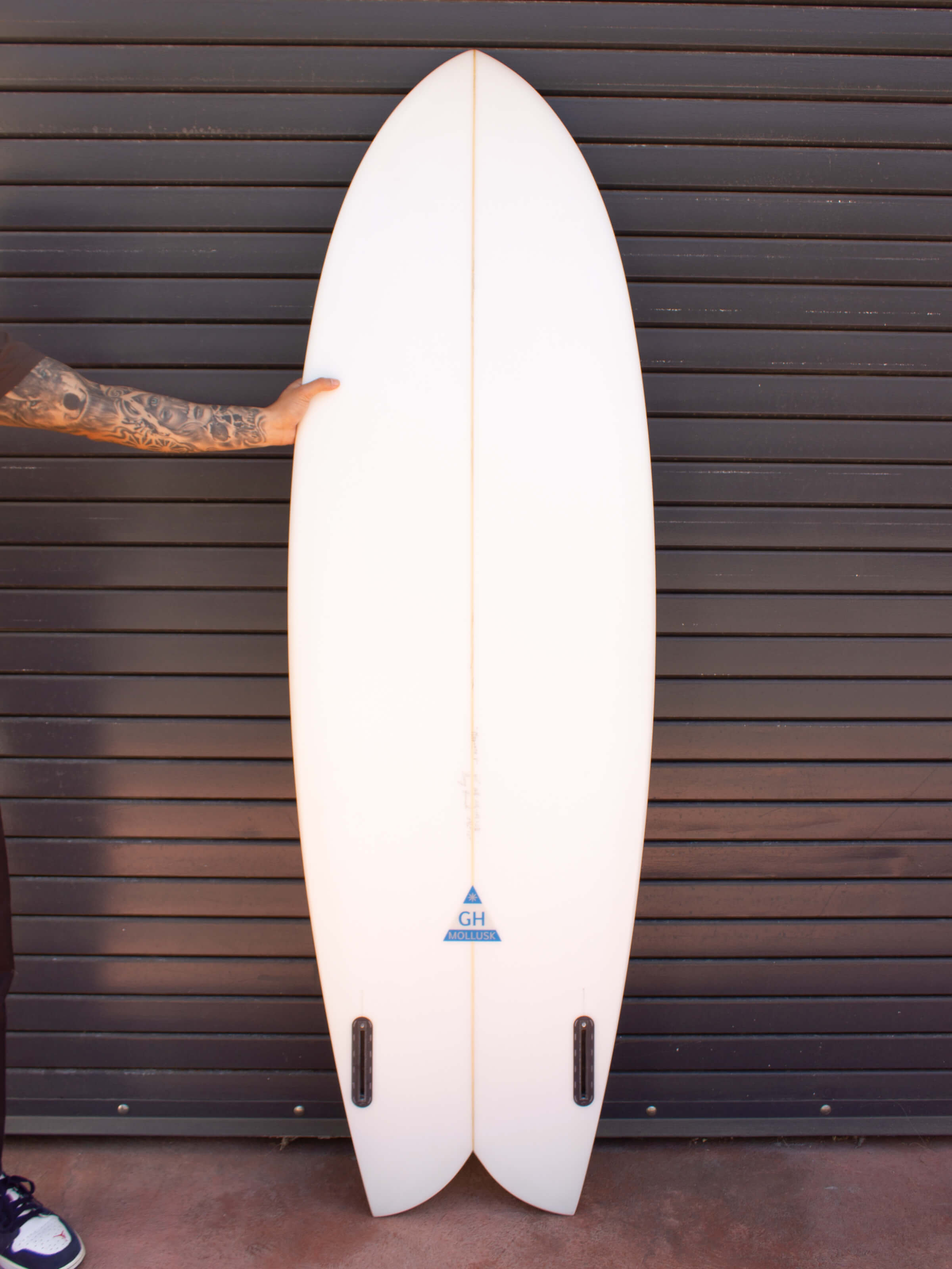 6'0 Hanel C Fish - Mollusk Surf Shop