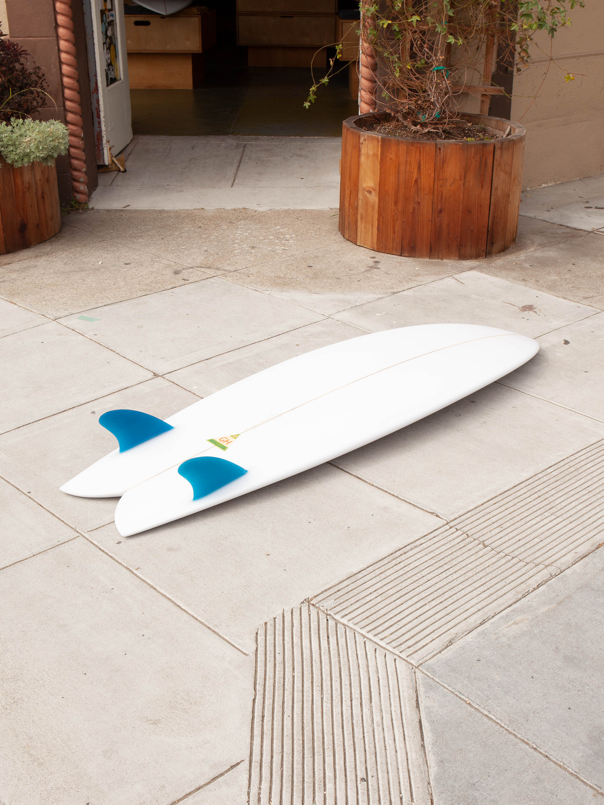 6'0 Hanel C Fish - Mollusk Surf Shop
