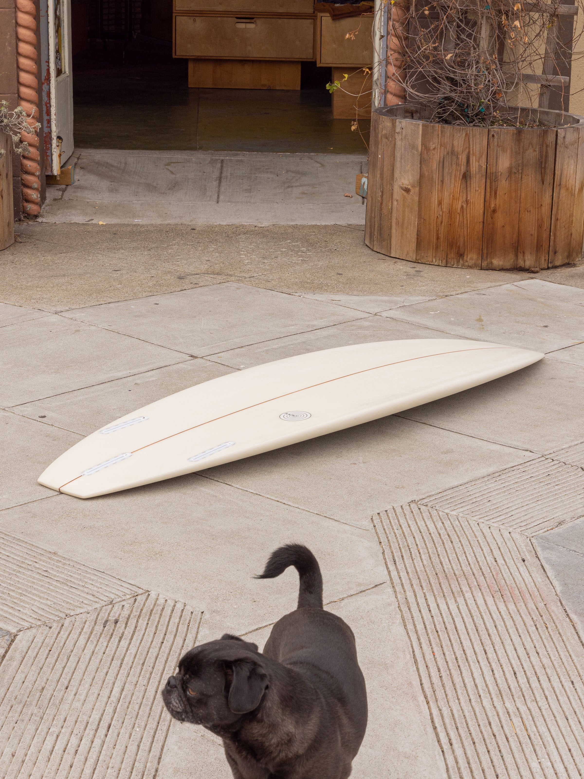 6'0 Radio Plane Jane - Mollusk Surf Shop