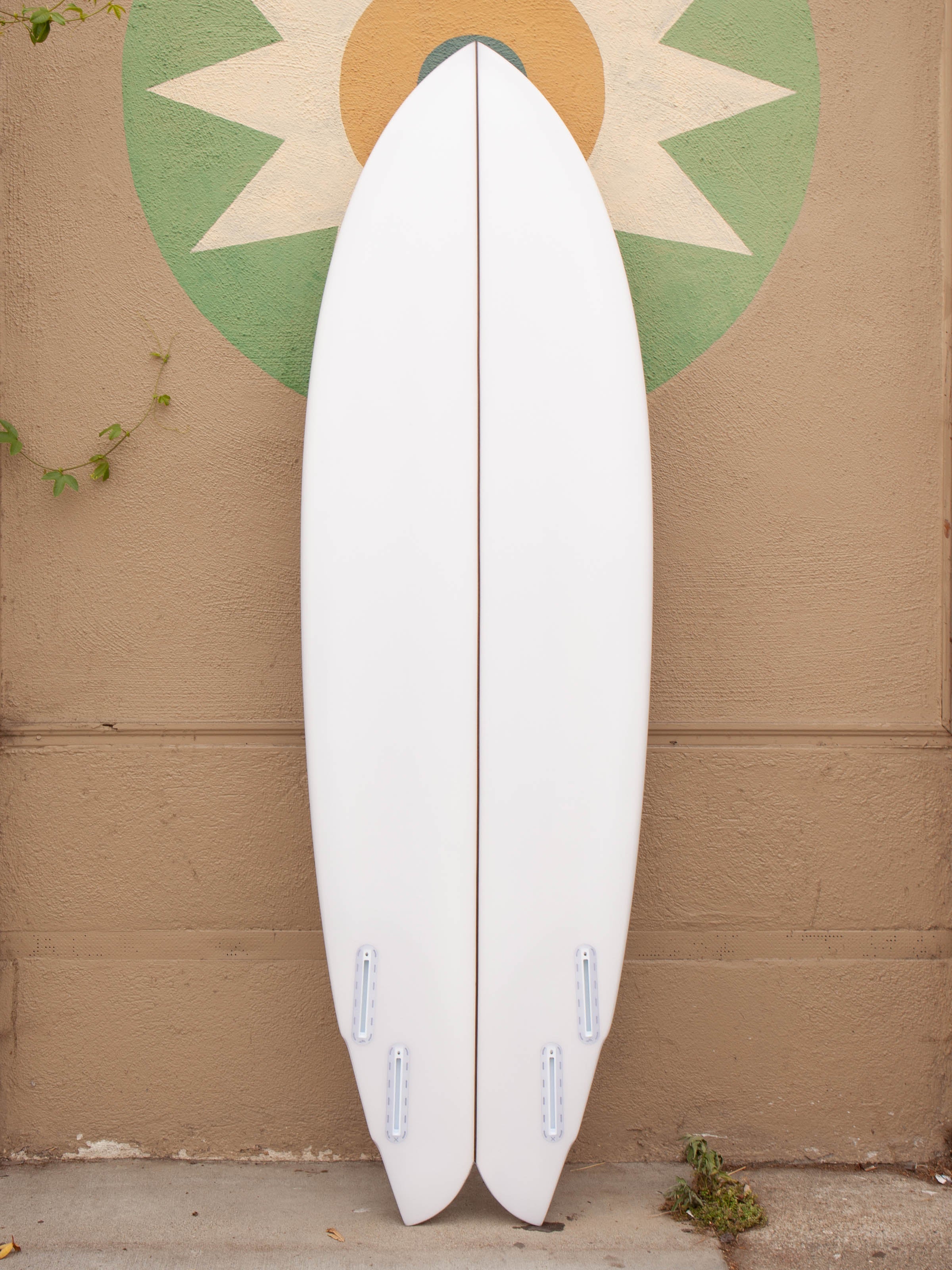 6'0 Rainbow Quad - Mollusk Surf Shop