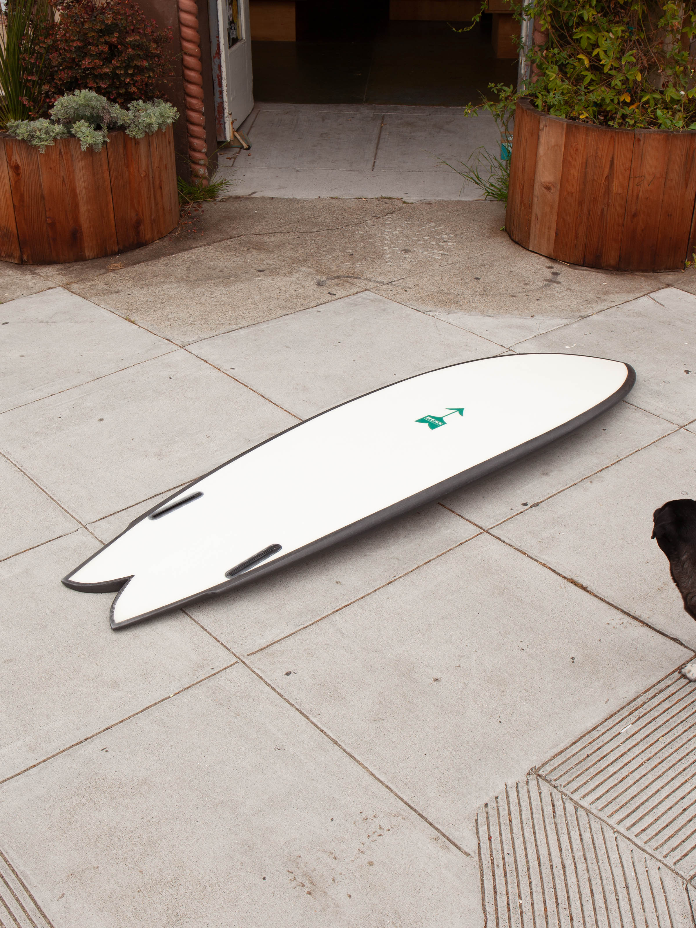 6'1 Hess Traveler - Mollusk Surf Shop