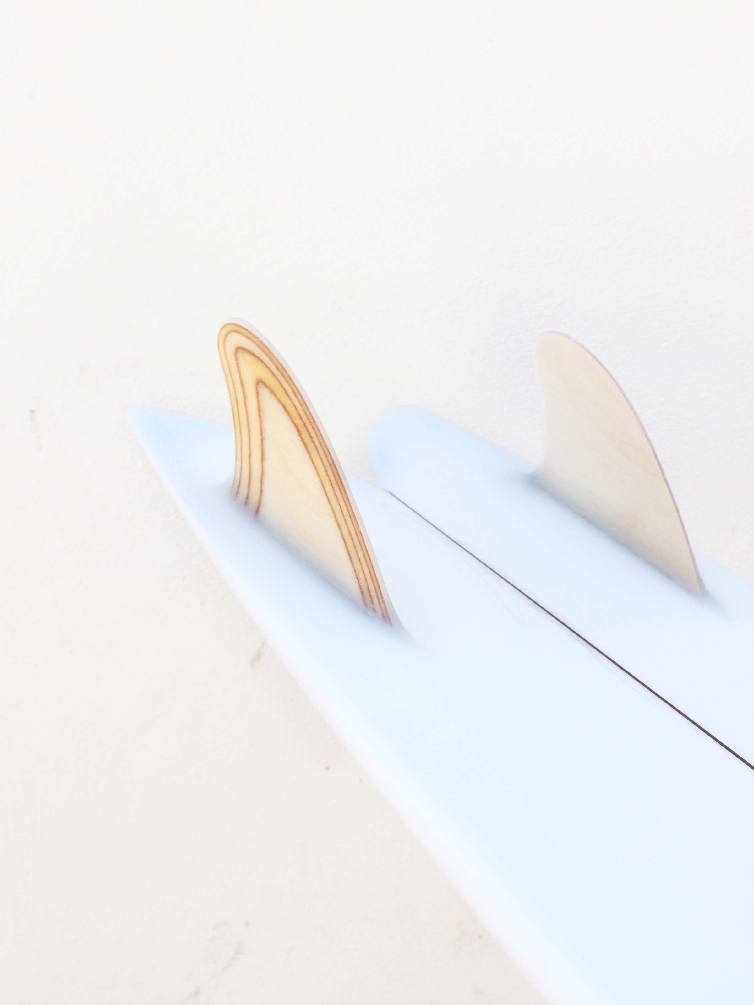 6'10 Christenson Long Fish - Mollusk Surf Shop - description
