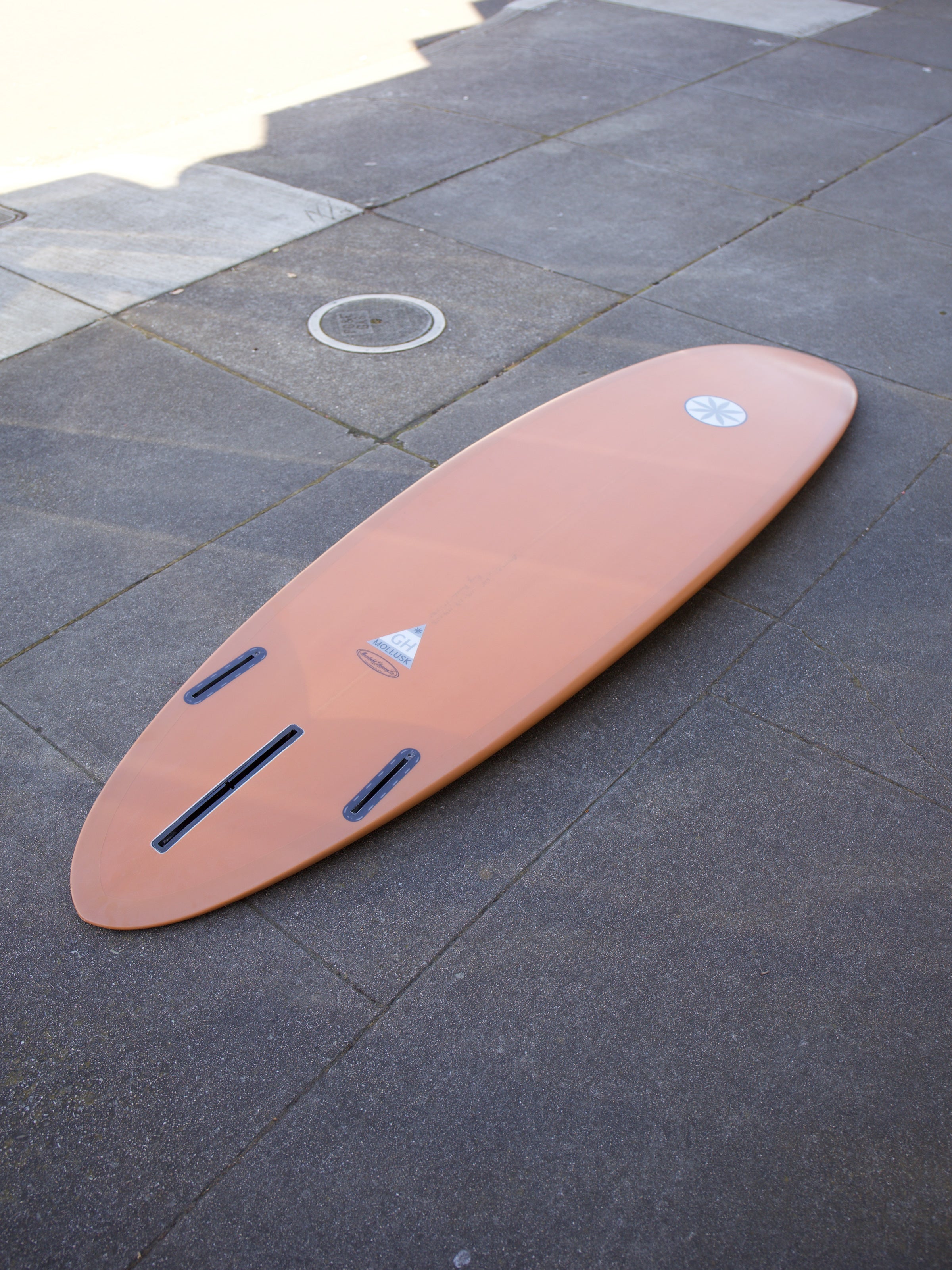 6'10 Hanel Egg - Mollusk Surf Shop