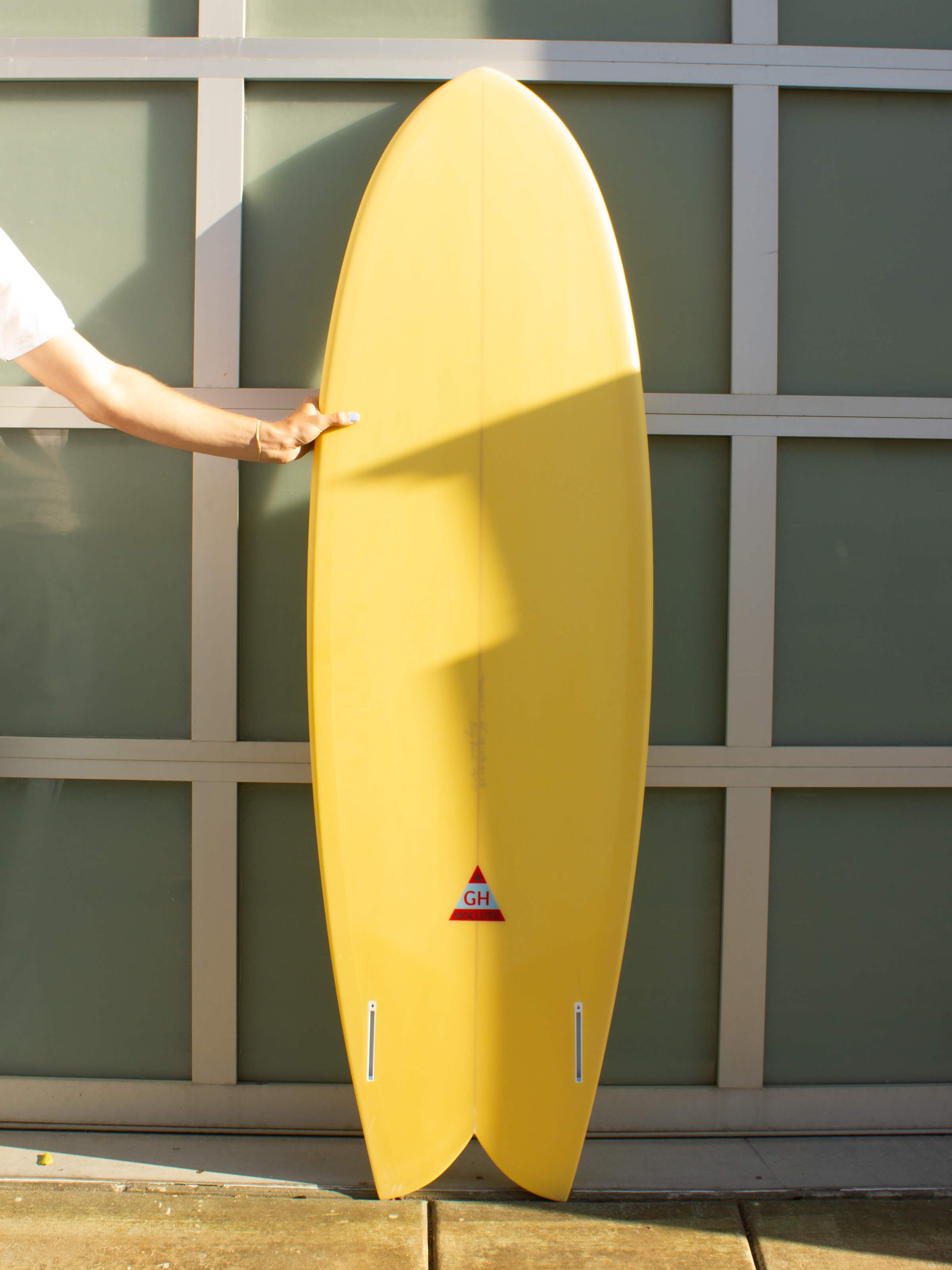 6'2 Hanel C Fish - Mollusk Surf Shop
