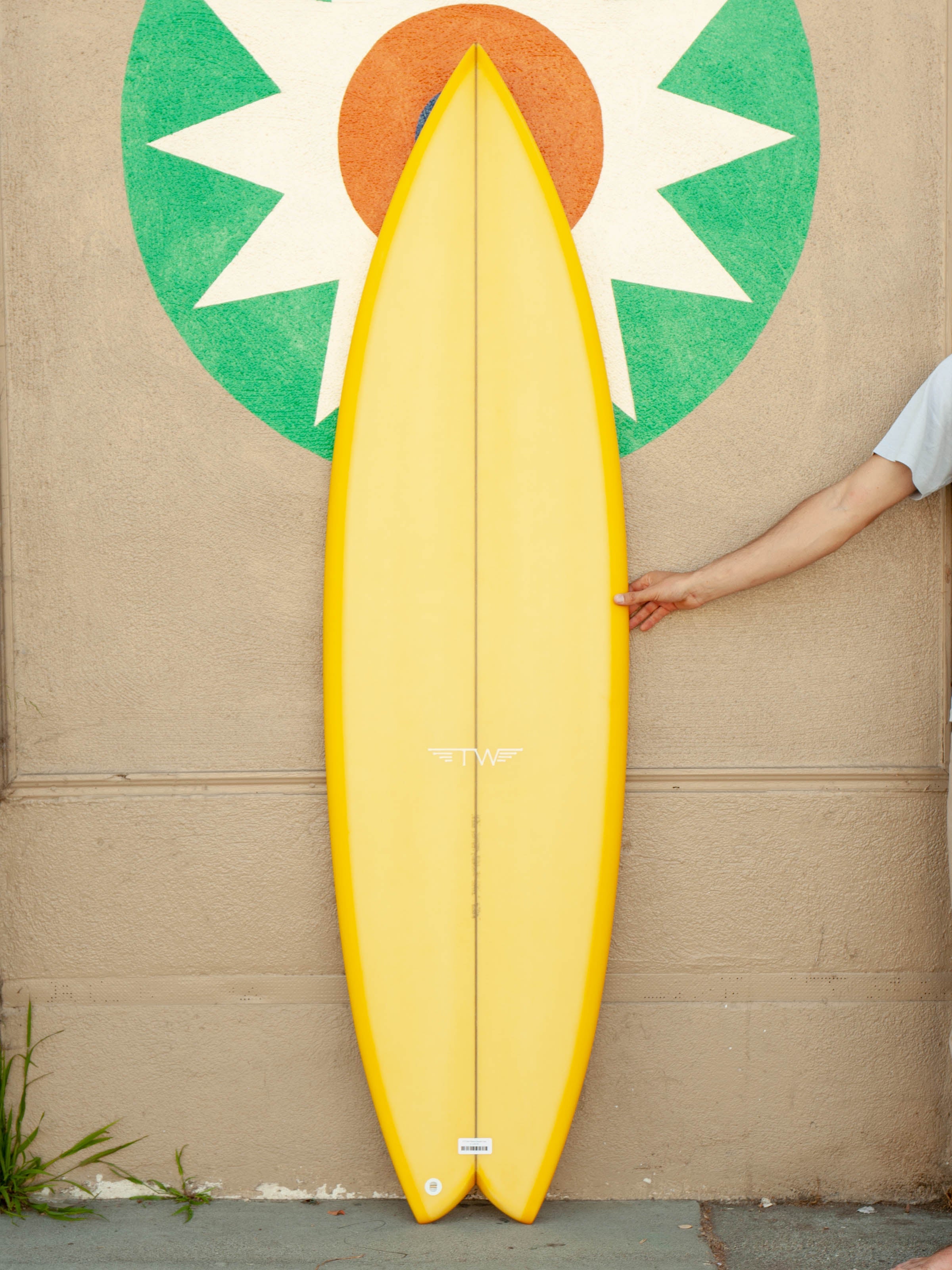 6'2 Tyler Warren Thruster Fish - Mollusk Surf Shop 