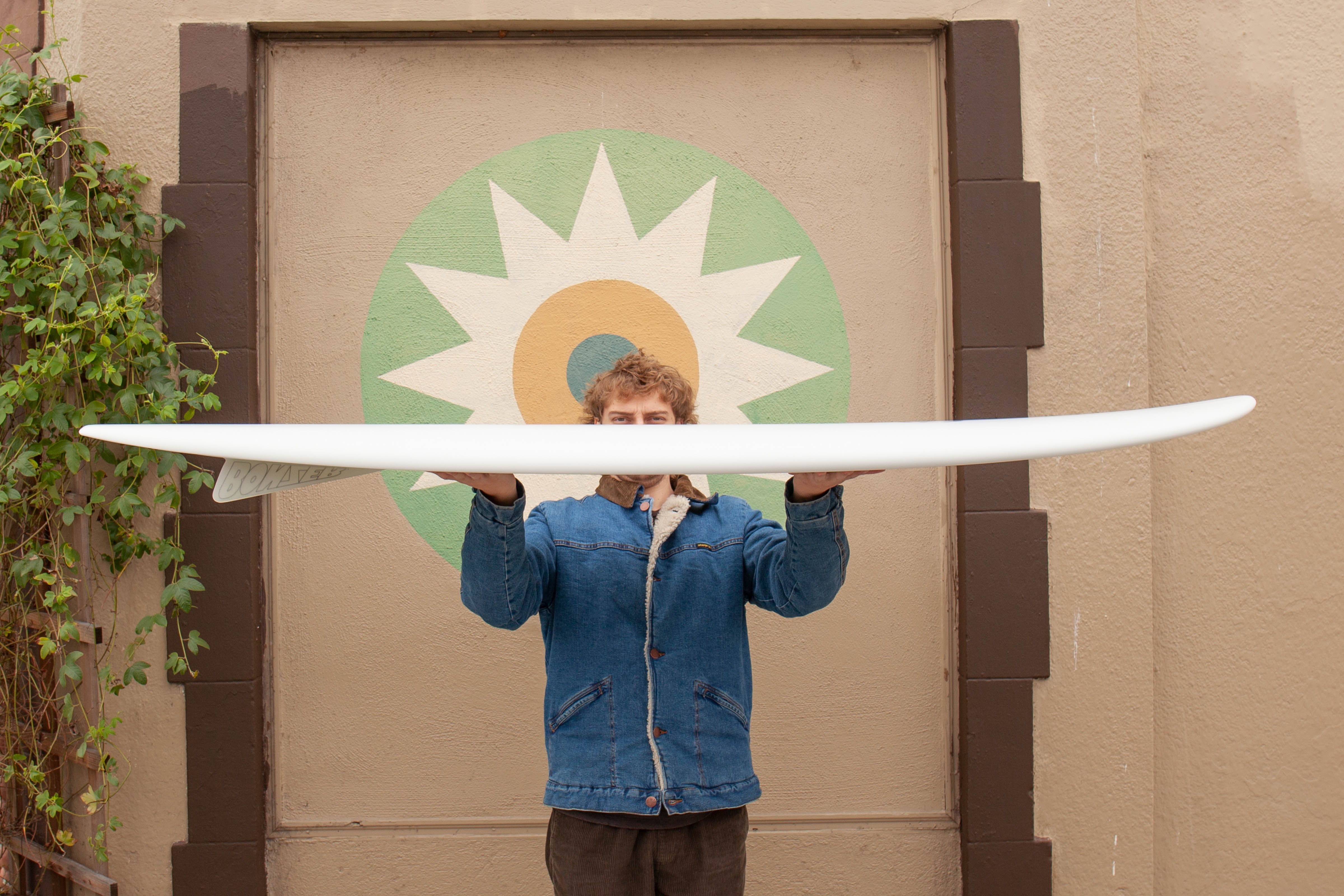 6'4 Campbell Brothers Egg DT - Mollusk Surf Shop