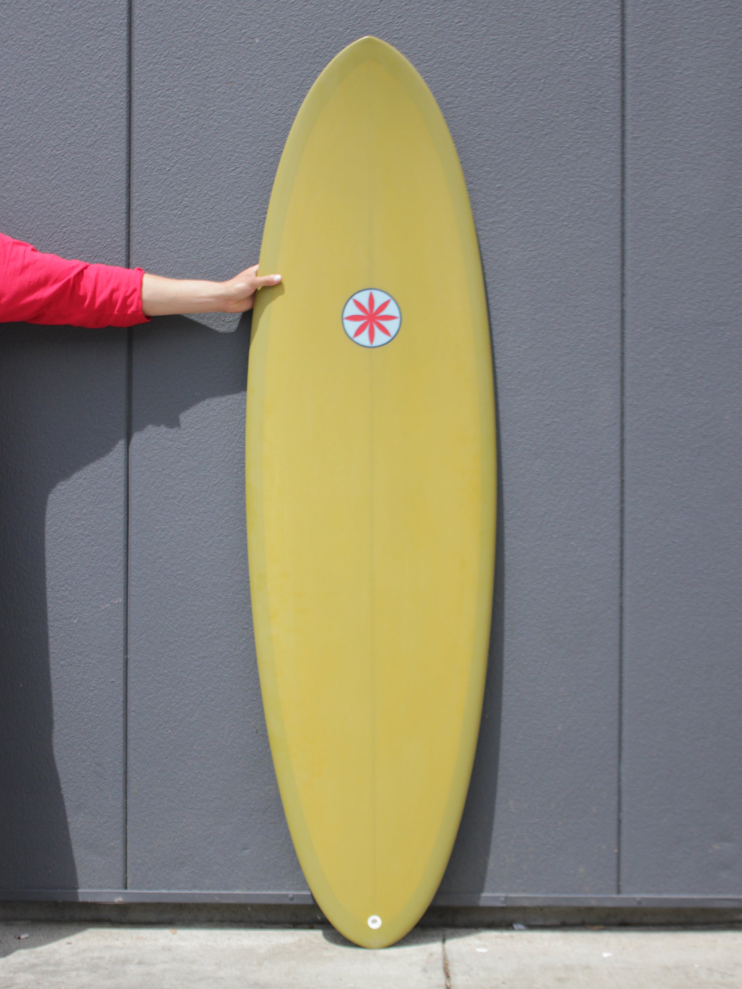 6'4 Hanel Astro Egg - Mollusk Surf Shop