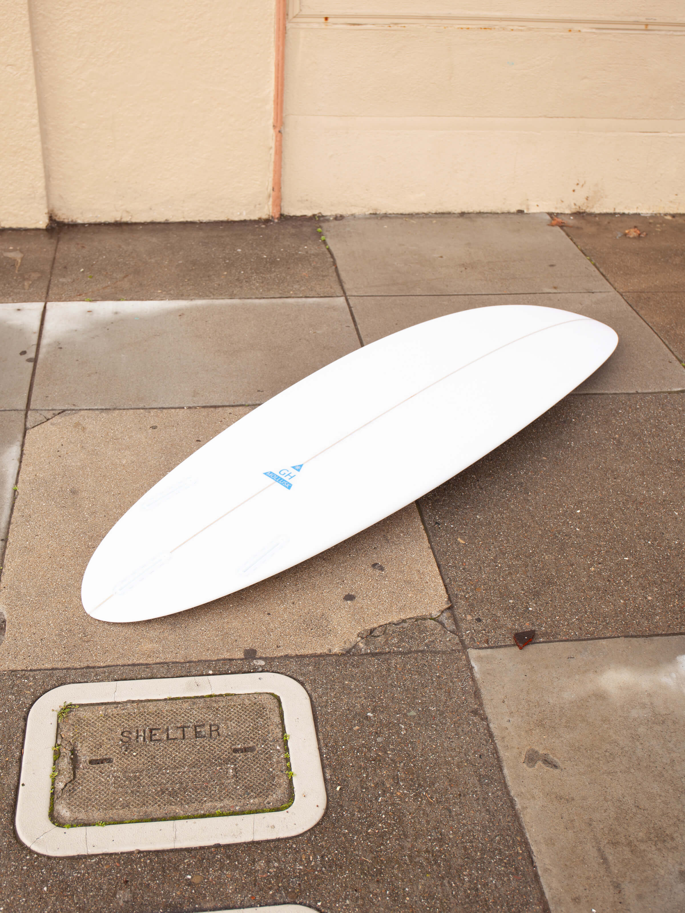 6'4 Hanel Astro Egg - Mollusk Surf Shop