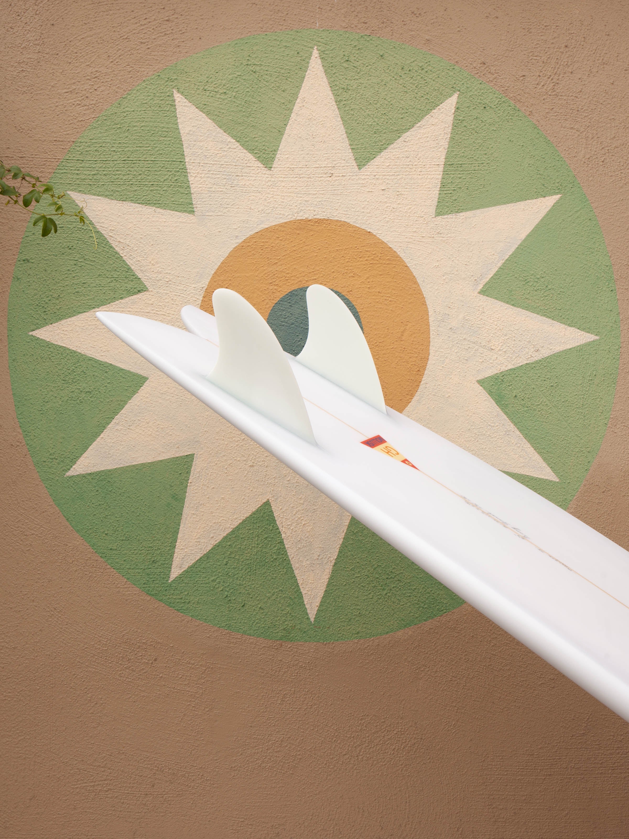 6'4 Hanel C Fish - Mollusk Surf Shop - description