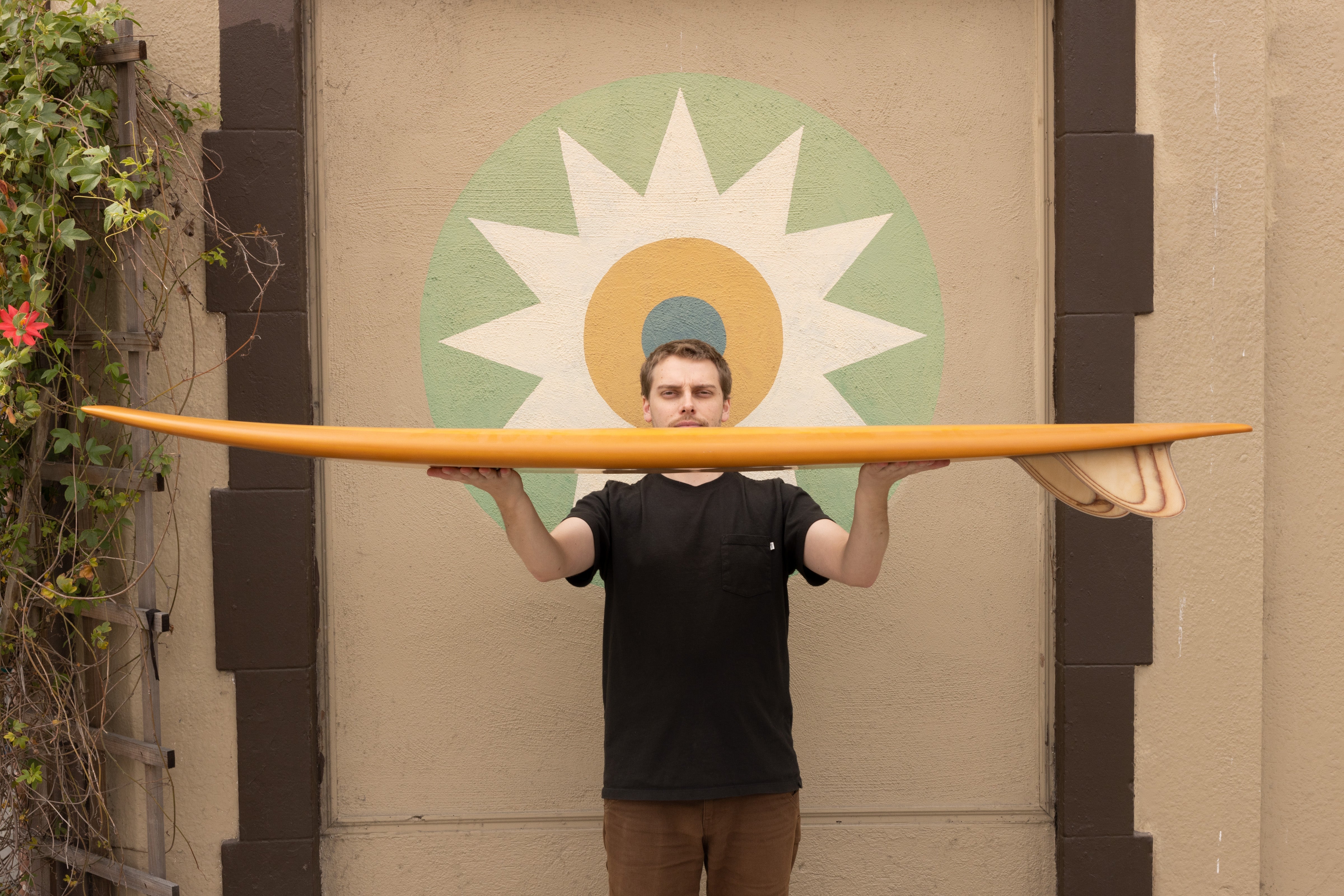 6'4 Mitsven Fish - Mollusk Surf Shop