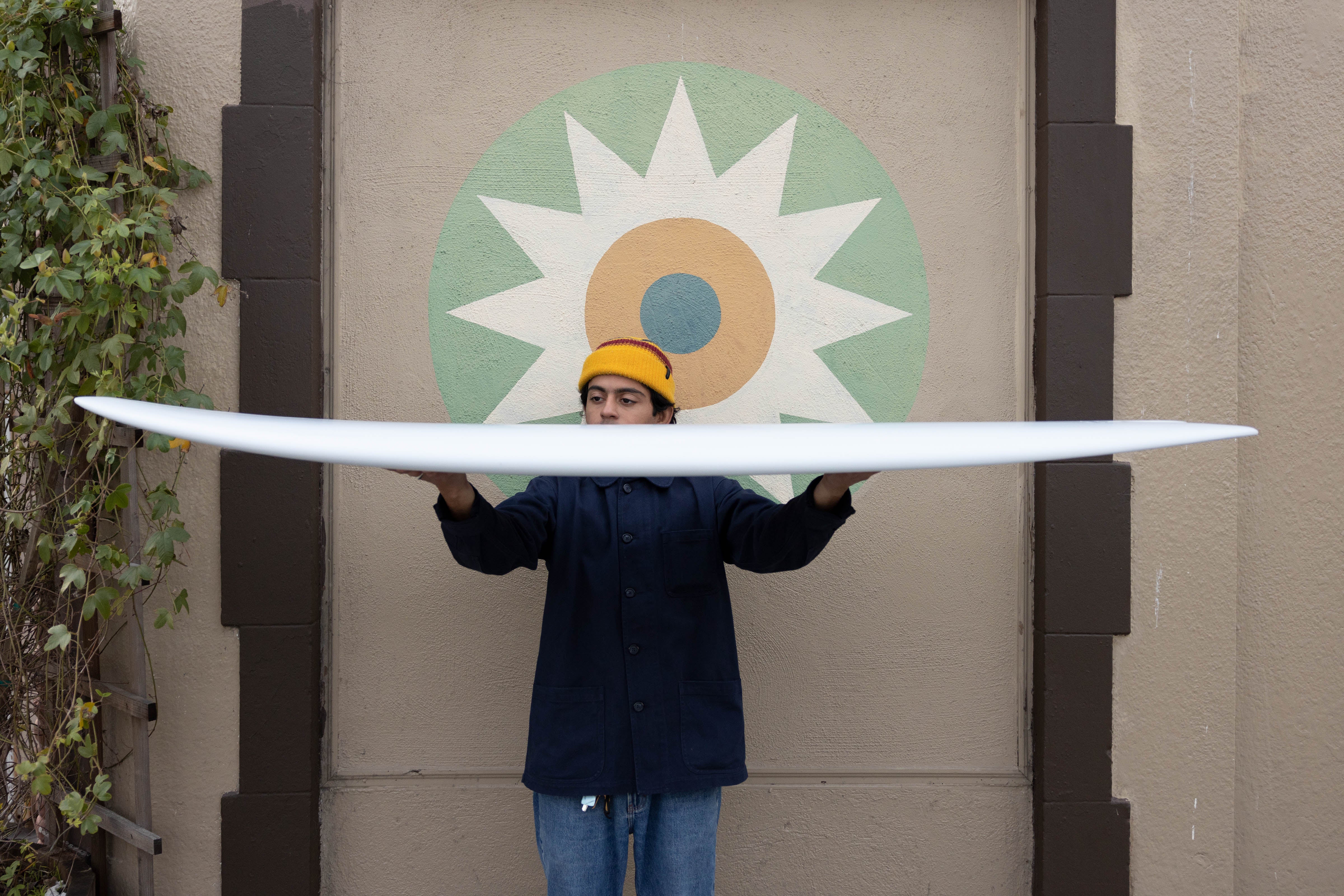 6'4 Mitsven Fish - Mollusk Surf Shop