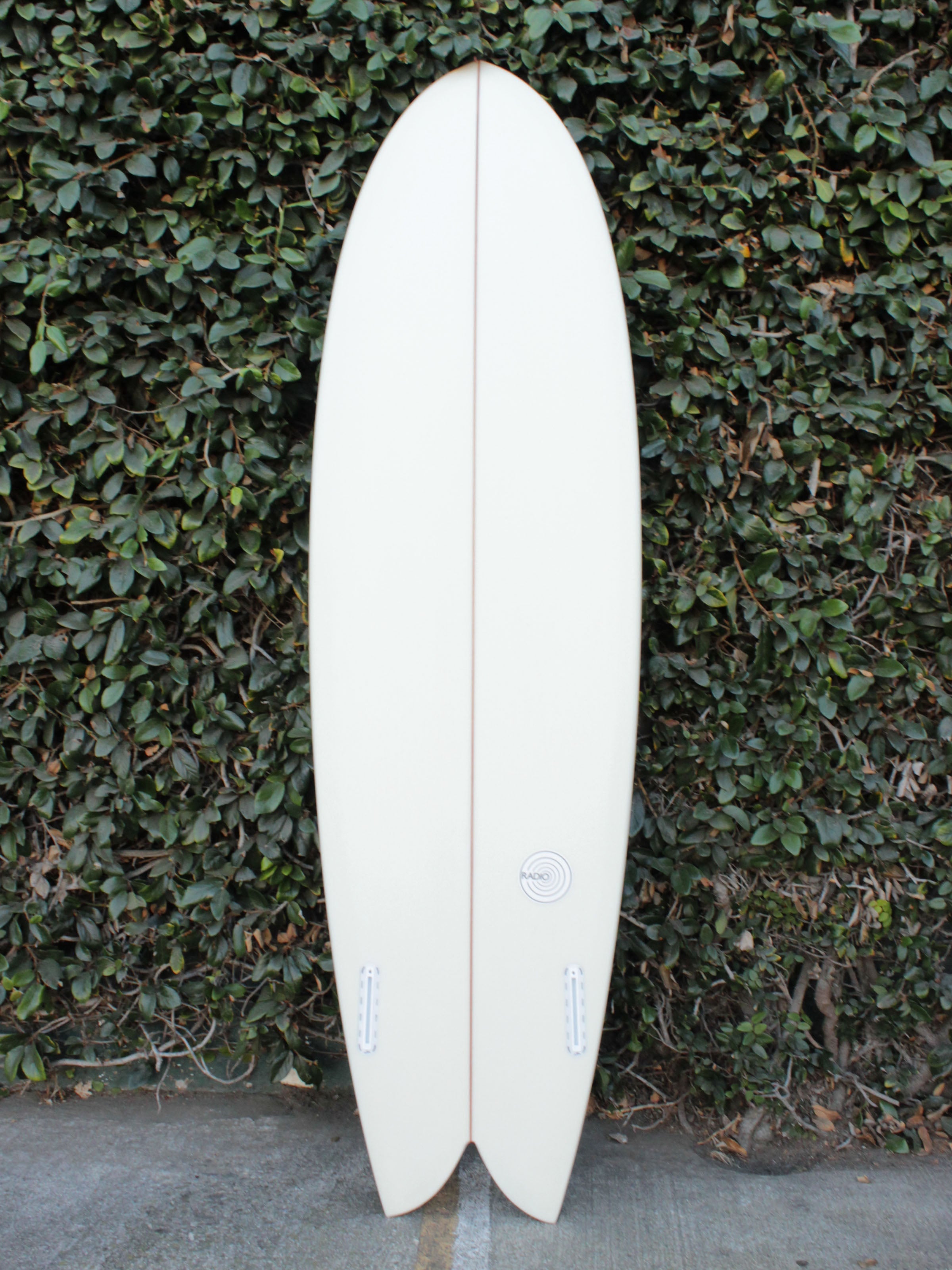6'4 Radio Mid Fish - Mollusk Surf Shop