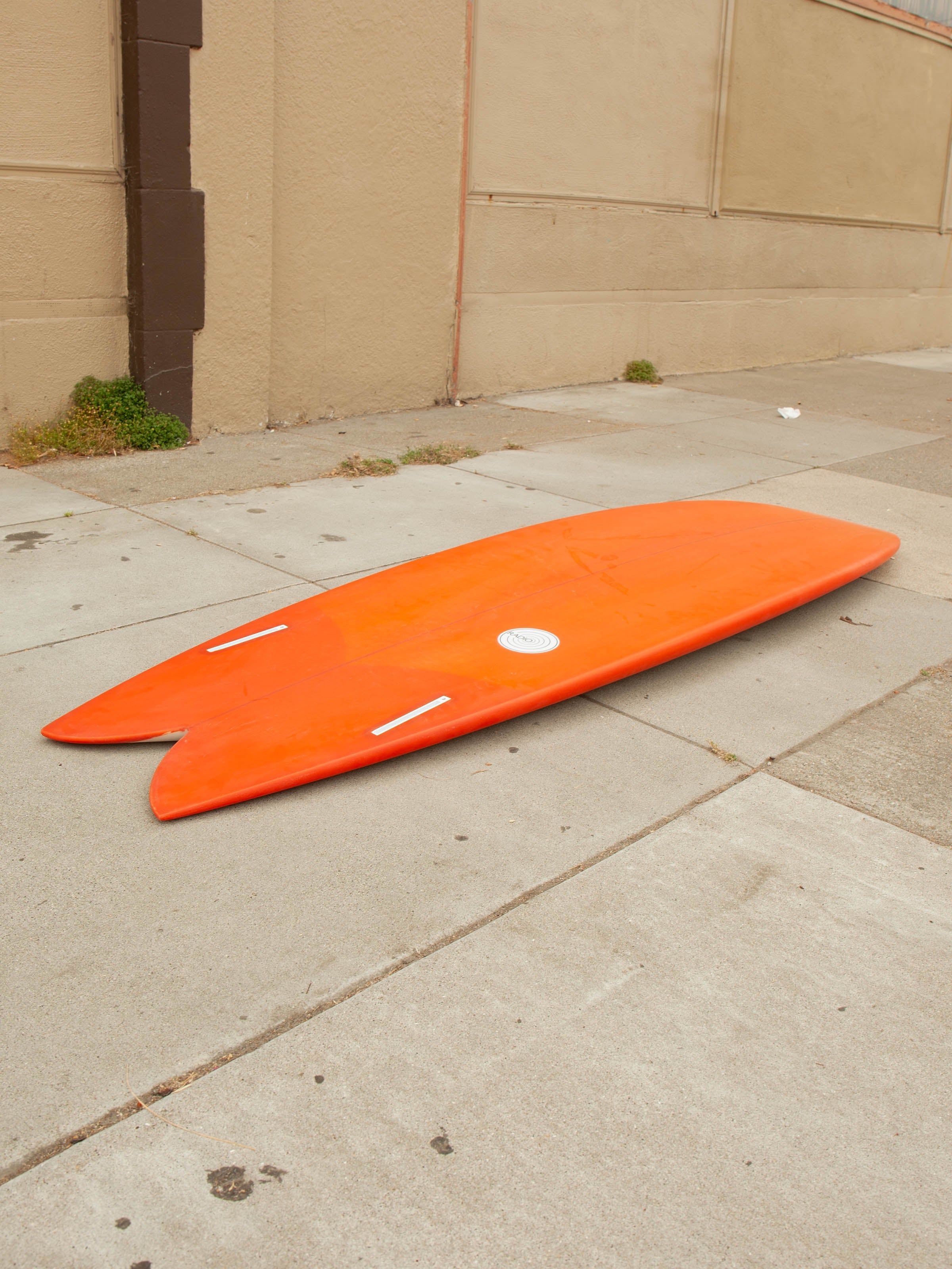 6'4 Radio Mid Fish - Mollusk Surf Shop