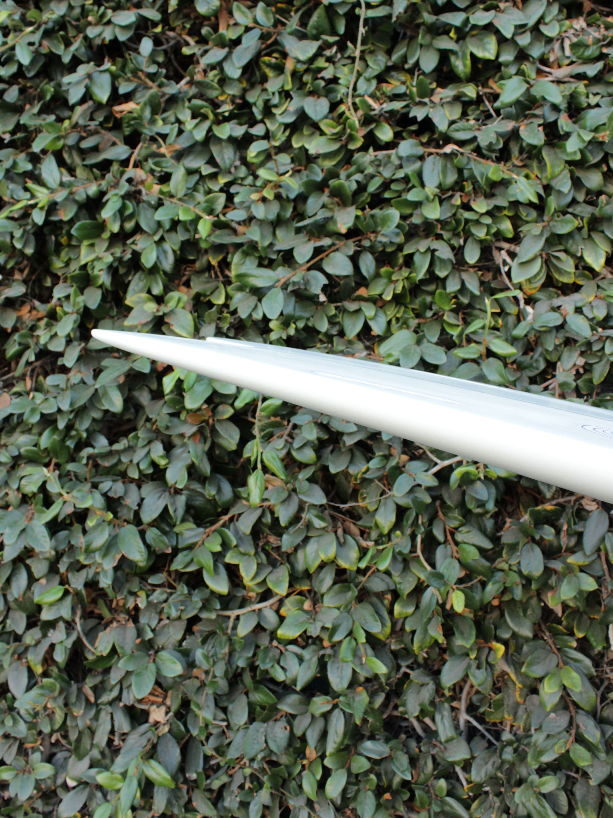 6'4 Radio Mid Fish - Mollusk Surf Shop - description