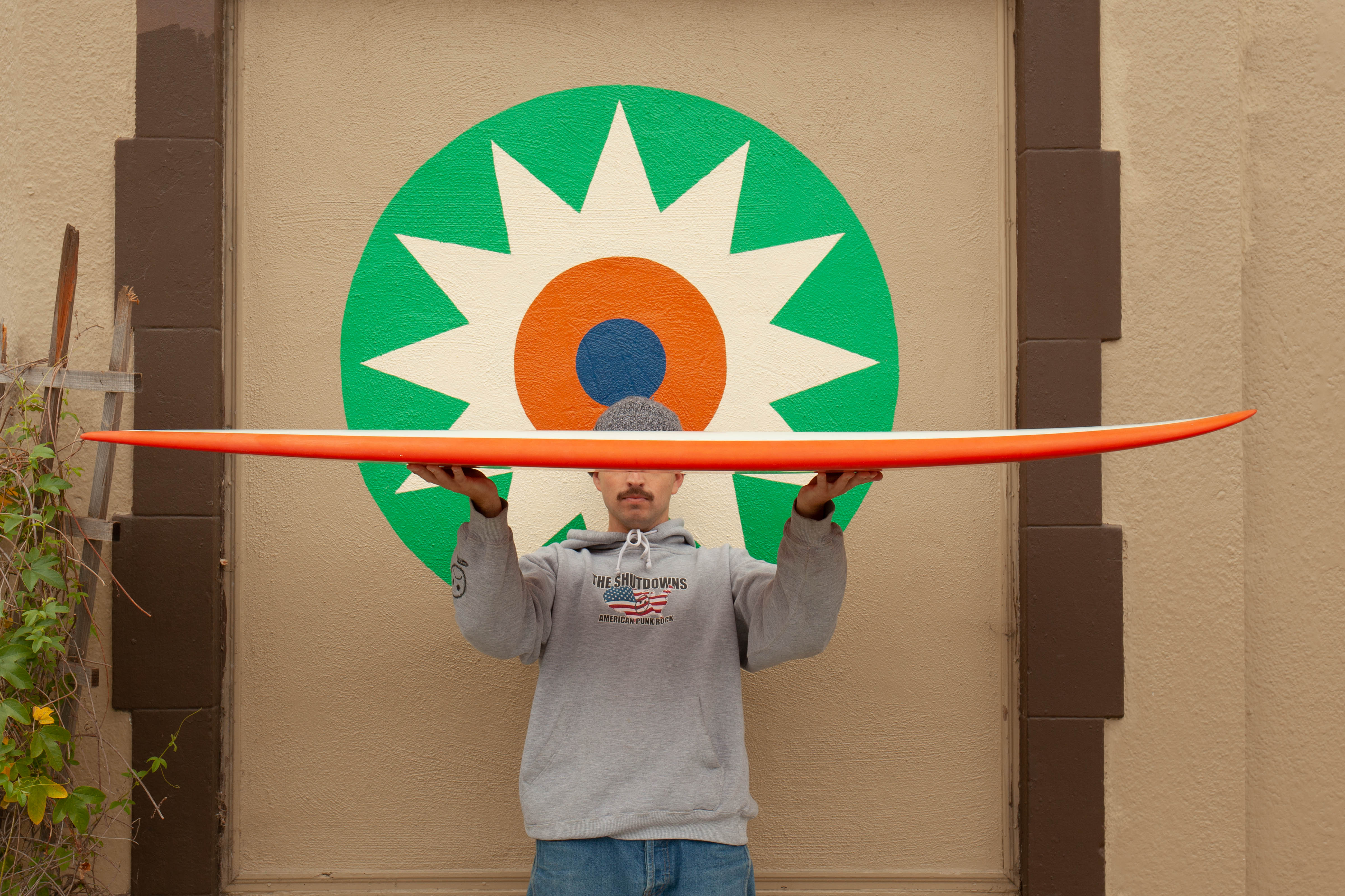 6'4 Radio Mid Fish - Mollusk Surf Shop