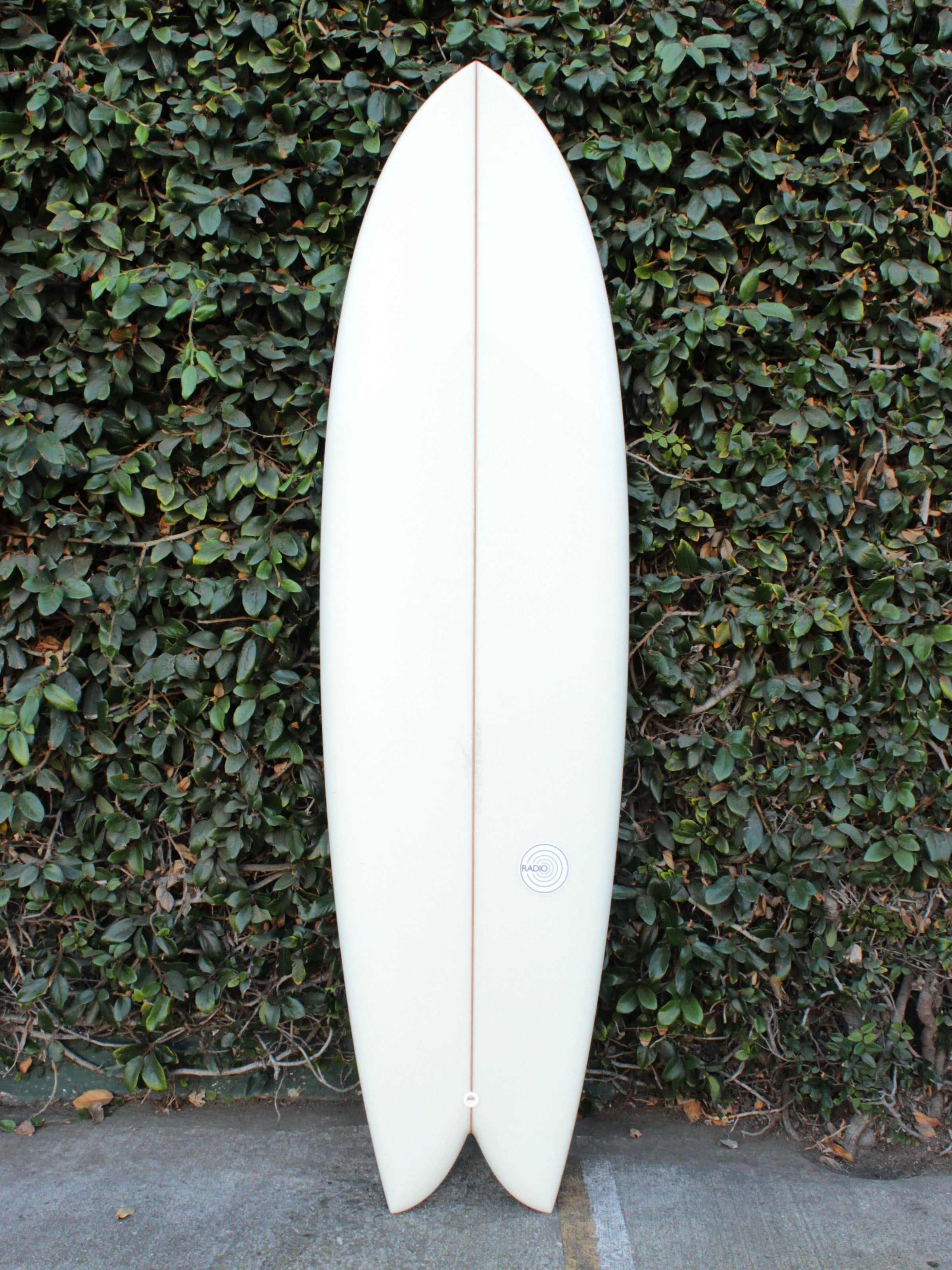 6'4 Radio Mid Fish - Mollusk Surf Shop