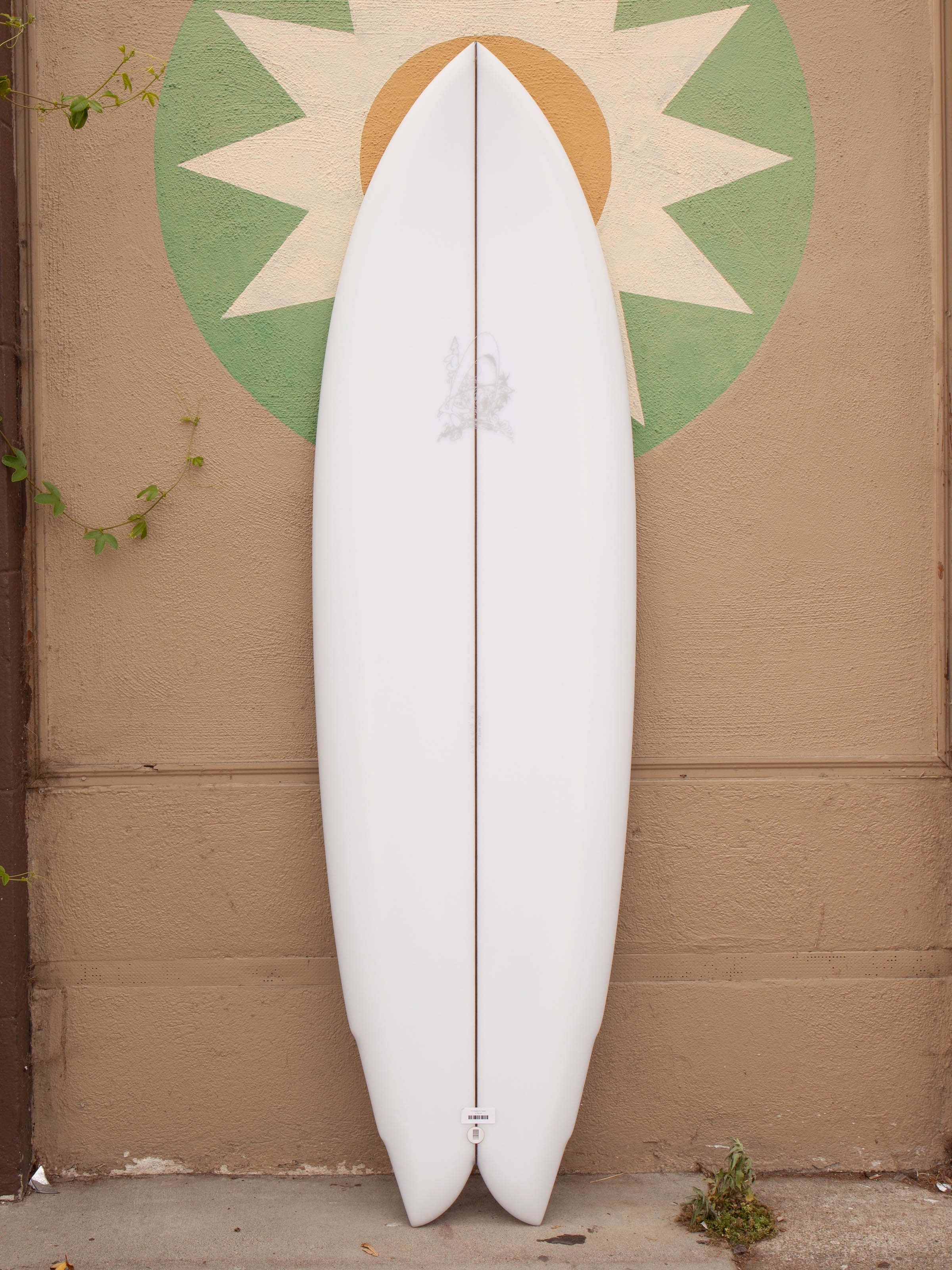 6'4 Rainbow Quad - Mollusk Surf Shop