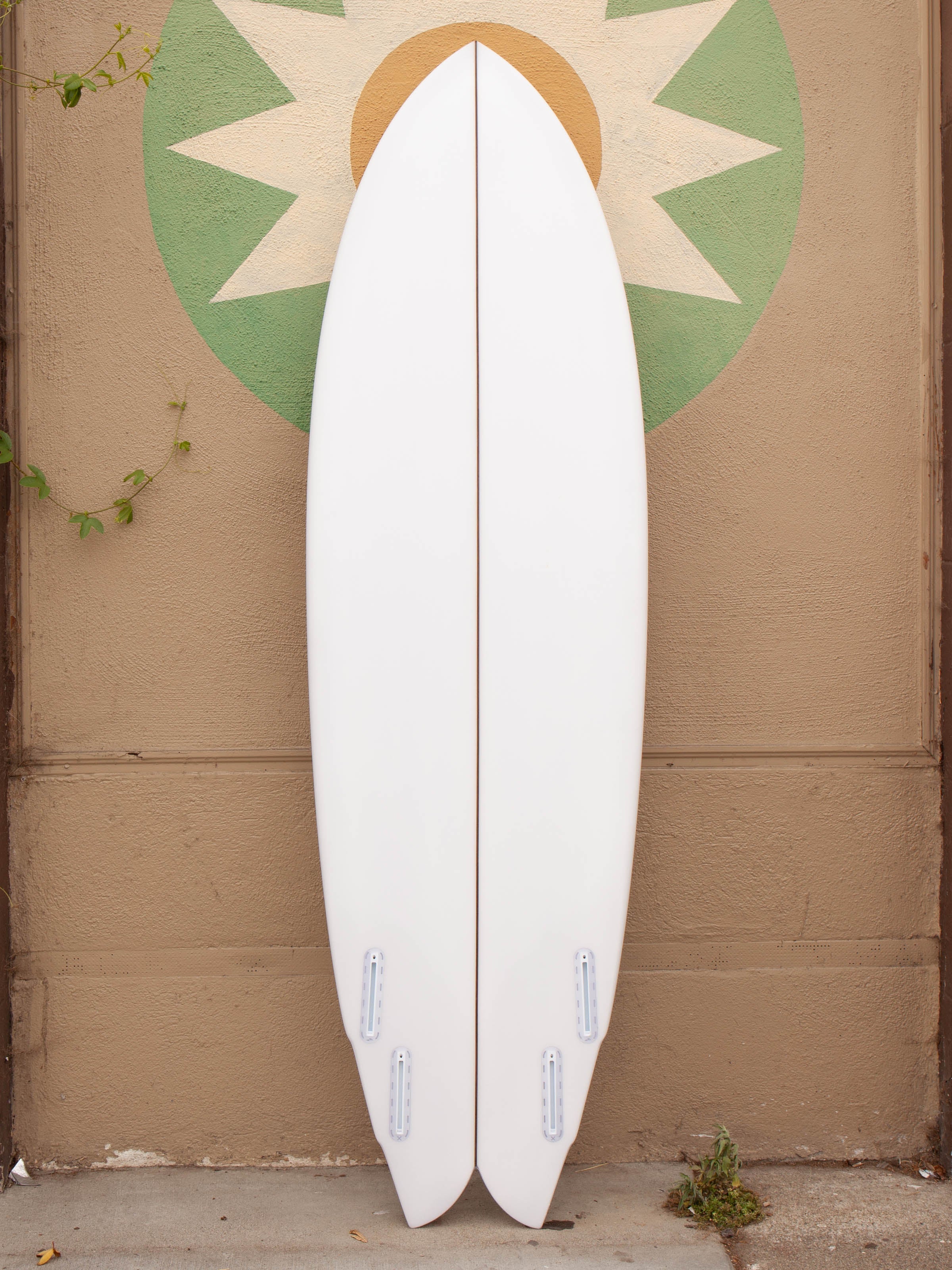 6'4 Rainbow Quad - Mollusk Surf Shop