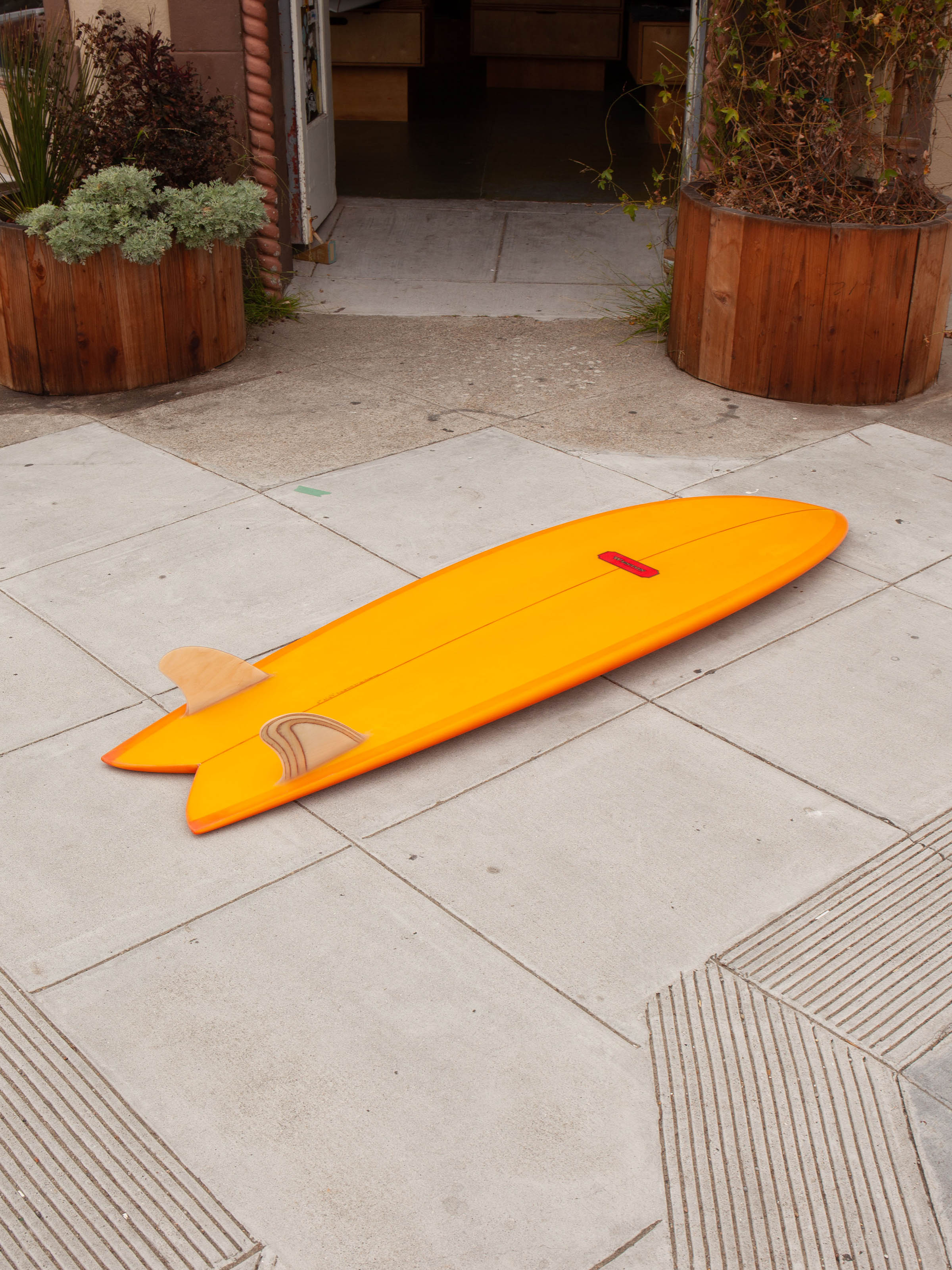 6'4 Weston Long Fish - Mollusk Surf Shop