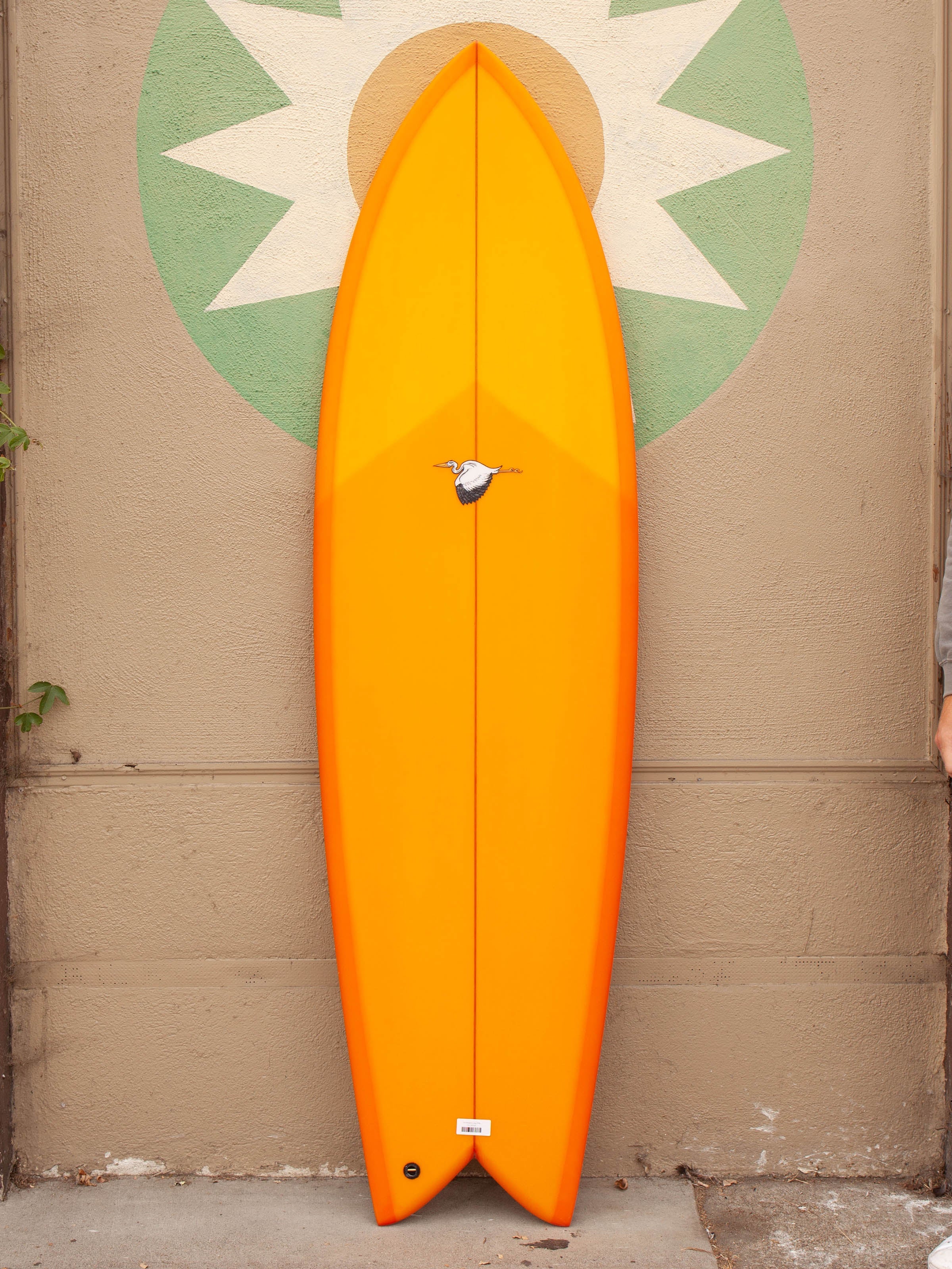 6'4 Weston Long Fish - Mollusk Surf Shop