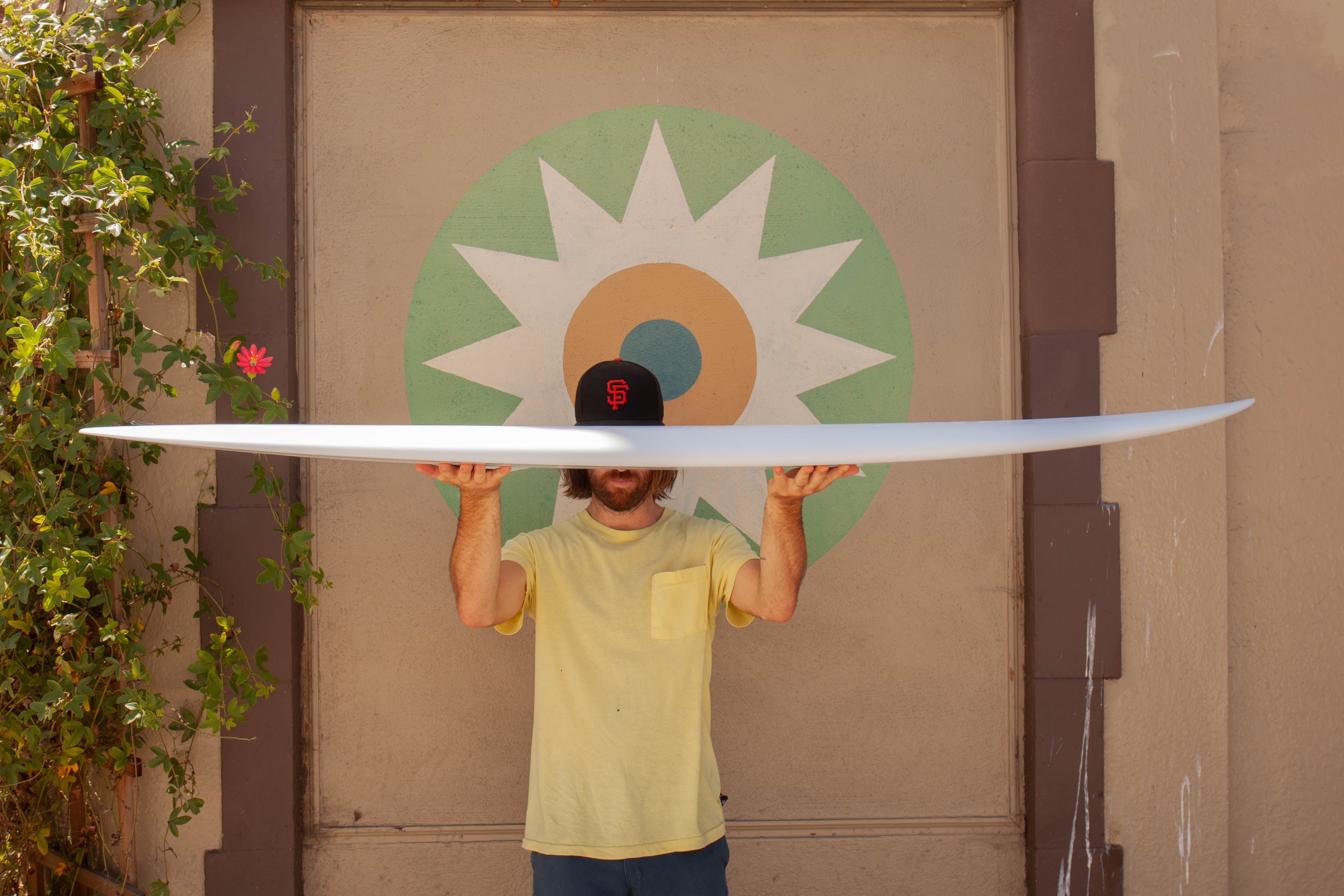 6'6 Arenal Gateway - Mollusk Surf Shop