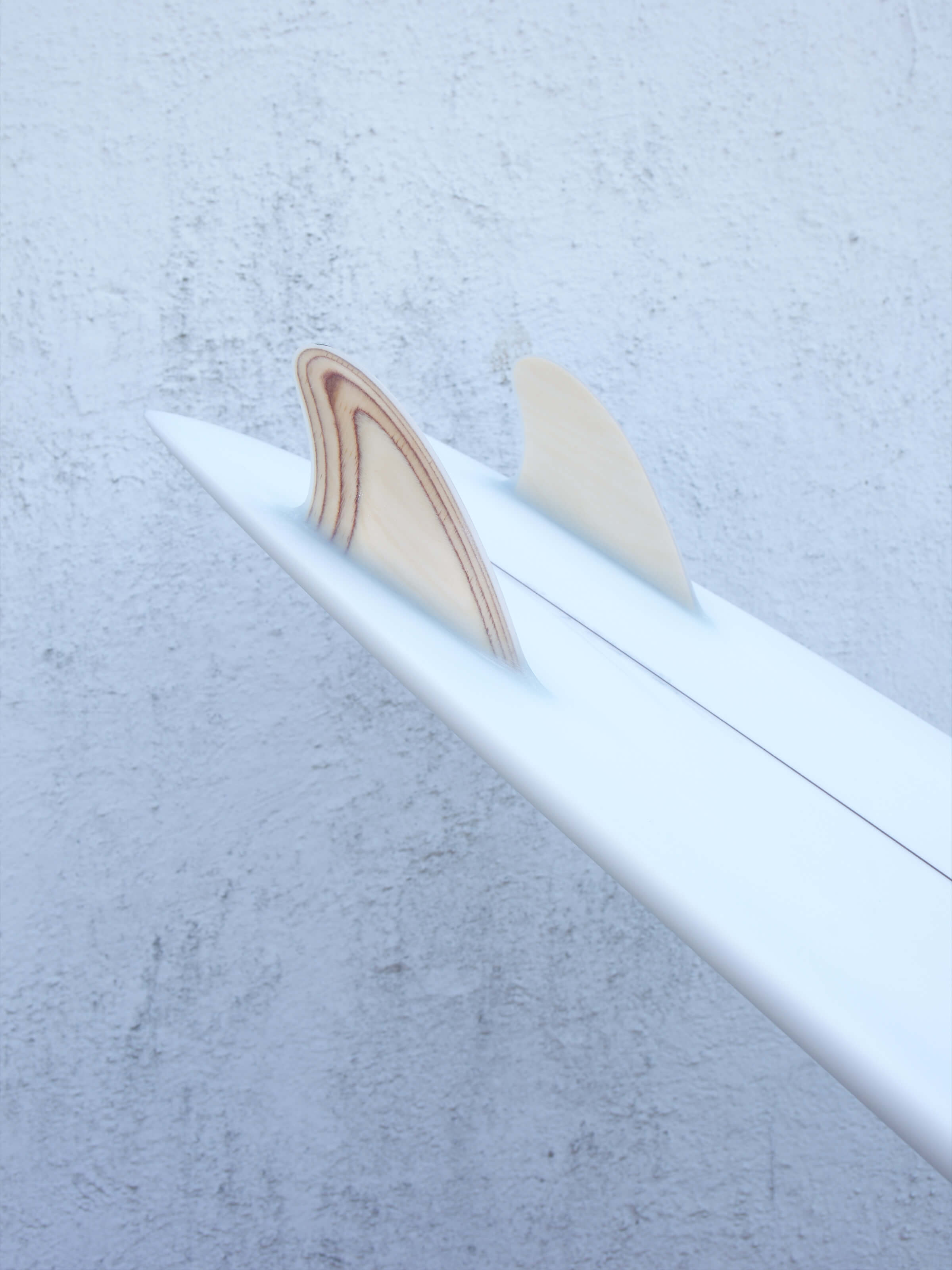 6'6 Christenson Long Fish - Mollusk Surf Shop - description