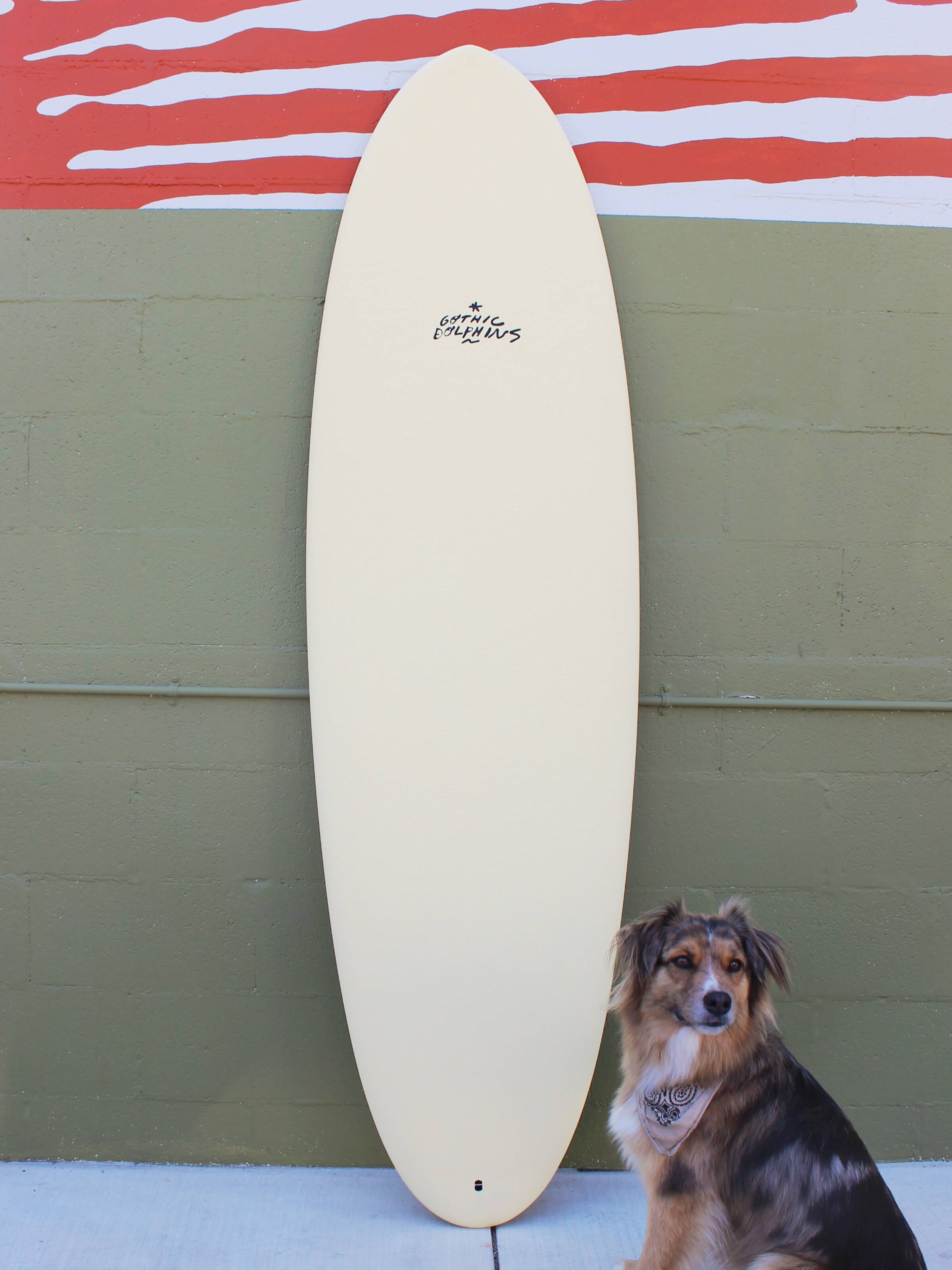 6'6 Crime Gothic Dolphin - Egg Nog - Mollusk Surf Shop