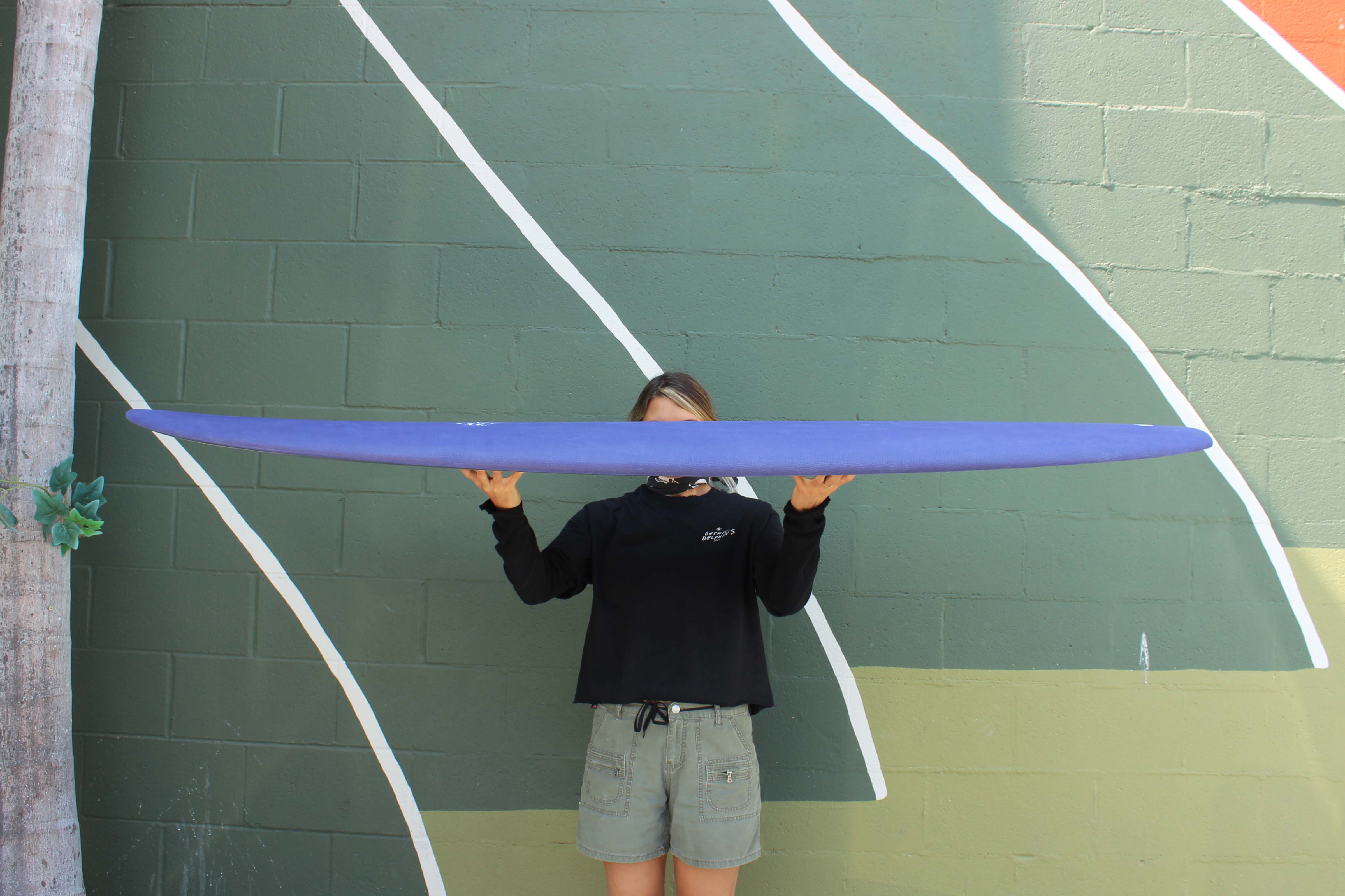 6'6 Crime Gothic Dolphins - Mollusk Surf Shop