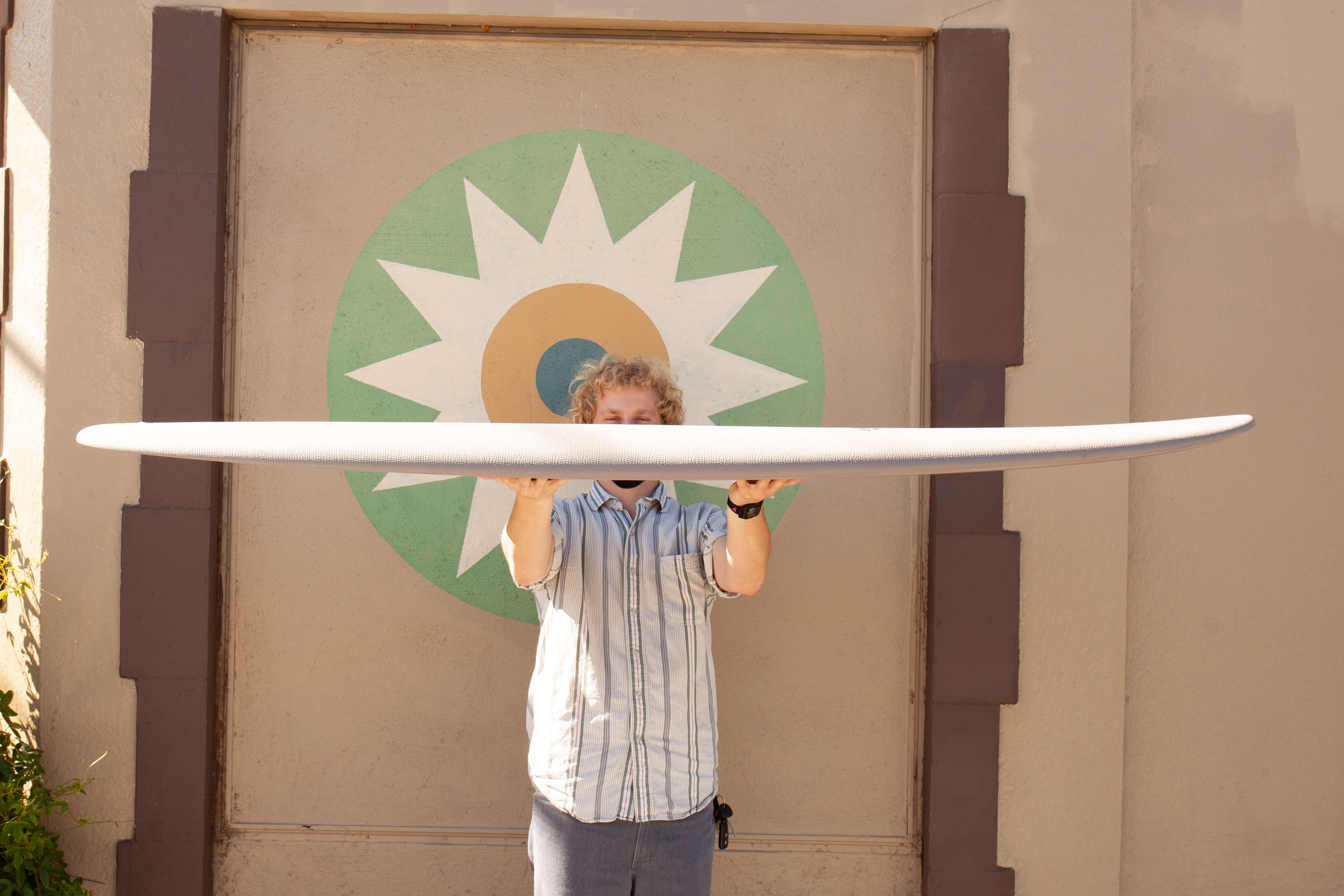 6'6 Crime Gothic Dolphins - Black - Mollusk Surf Shop